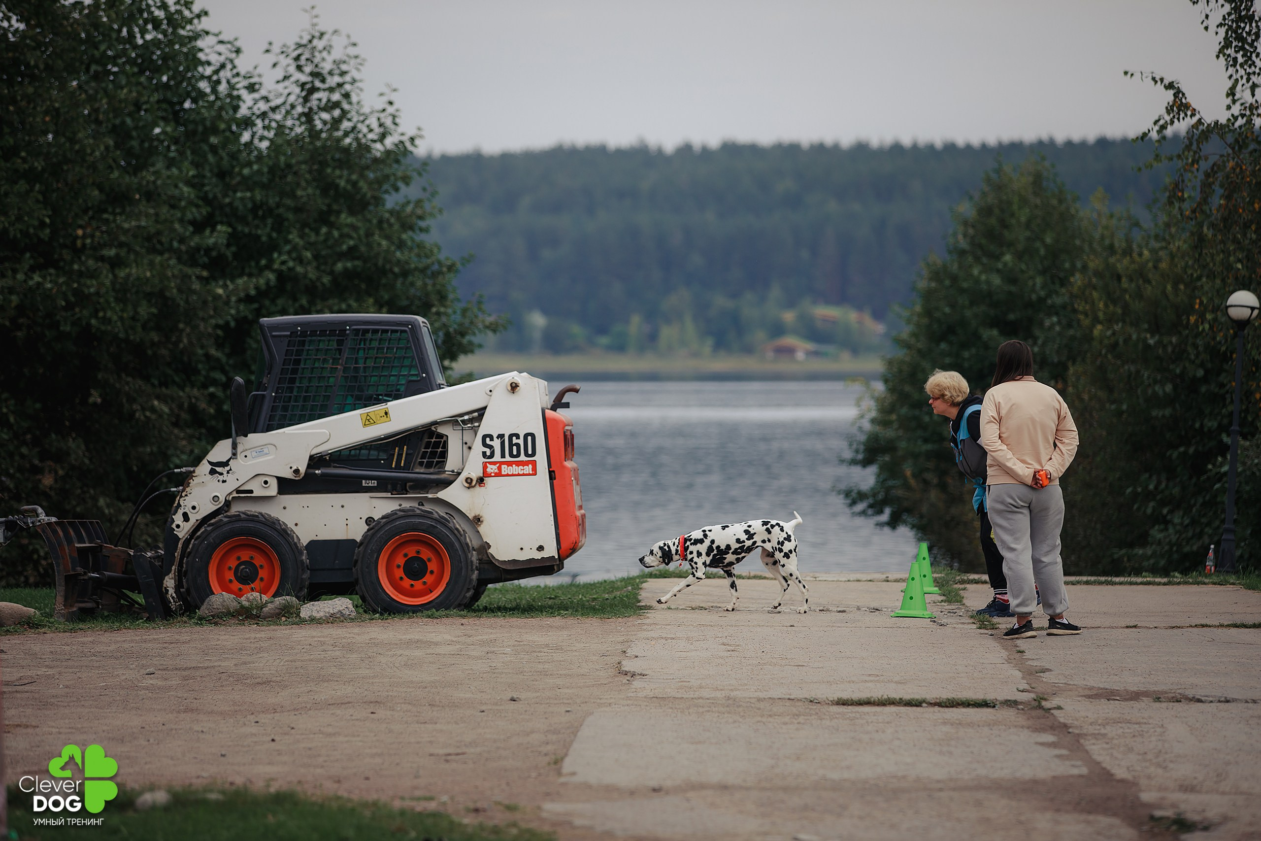 Кинологический лагерь CleverDog, 2024. Фотограф-анималист Mary Mart — Москва, Питер