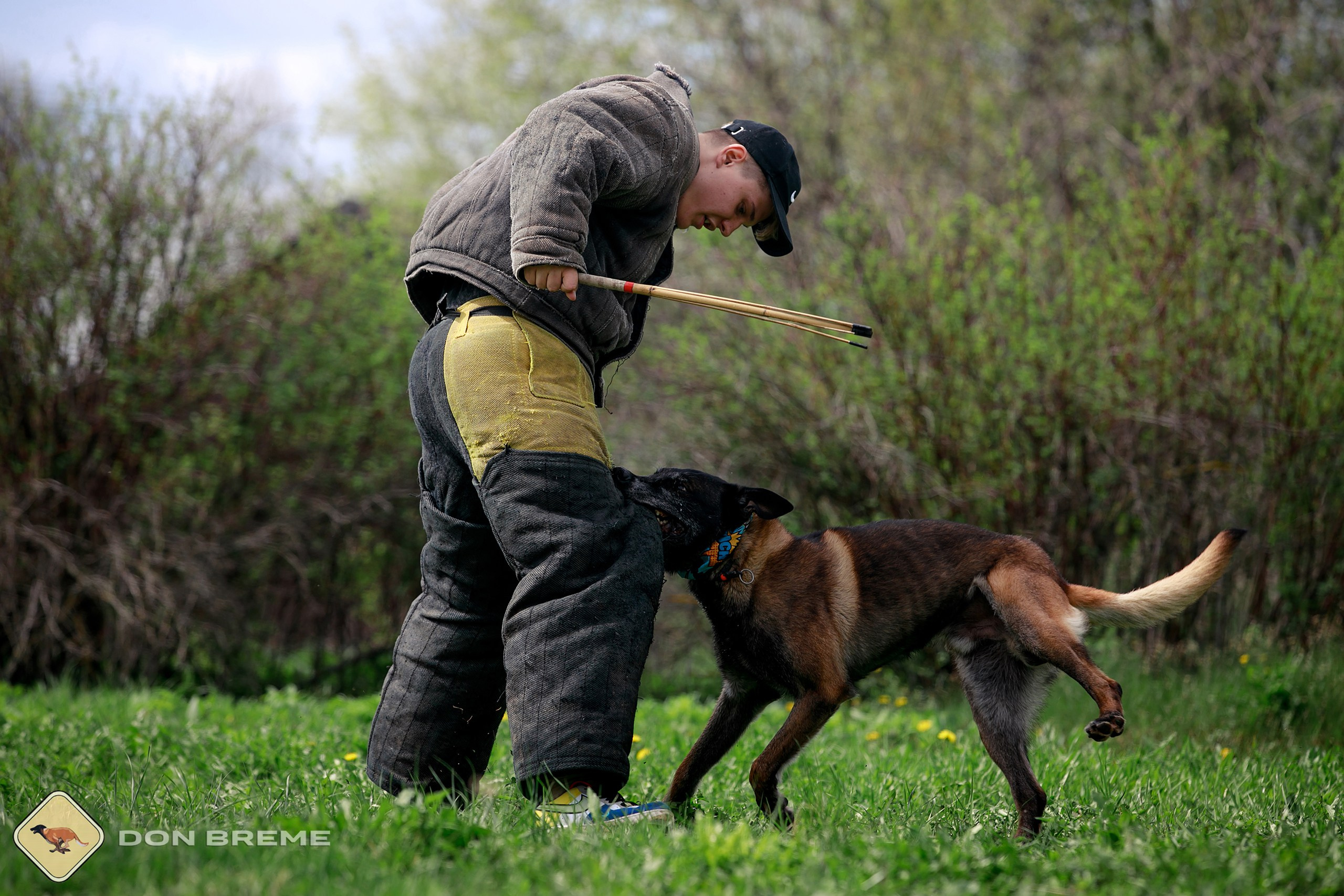 Семинар для фигурантов, день 2. Фотограф-анималист Mary Mart — Москва, Питер