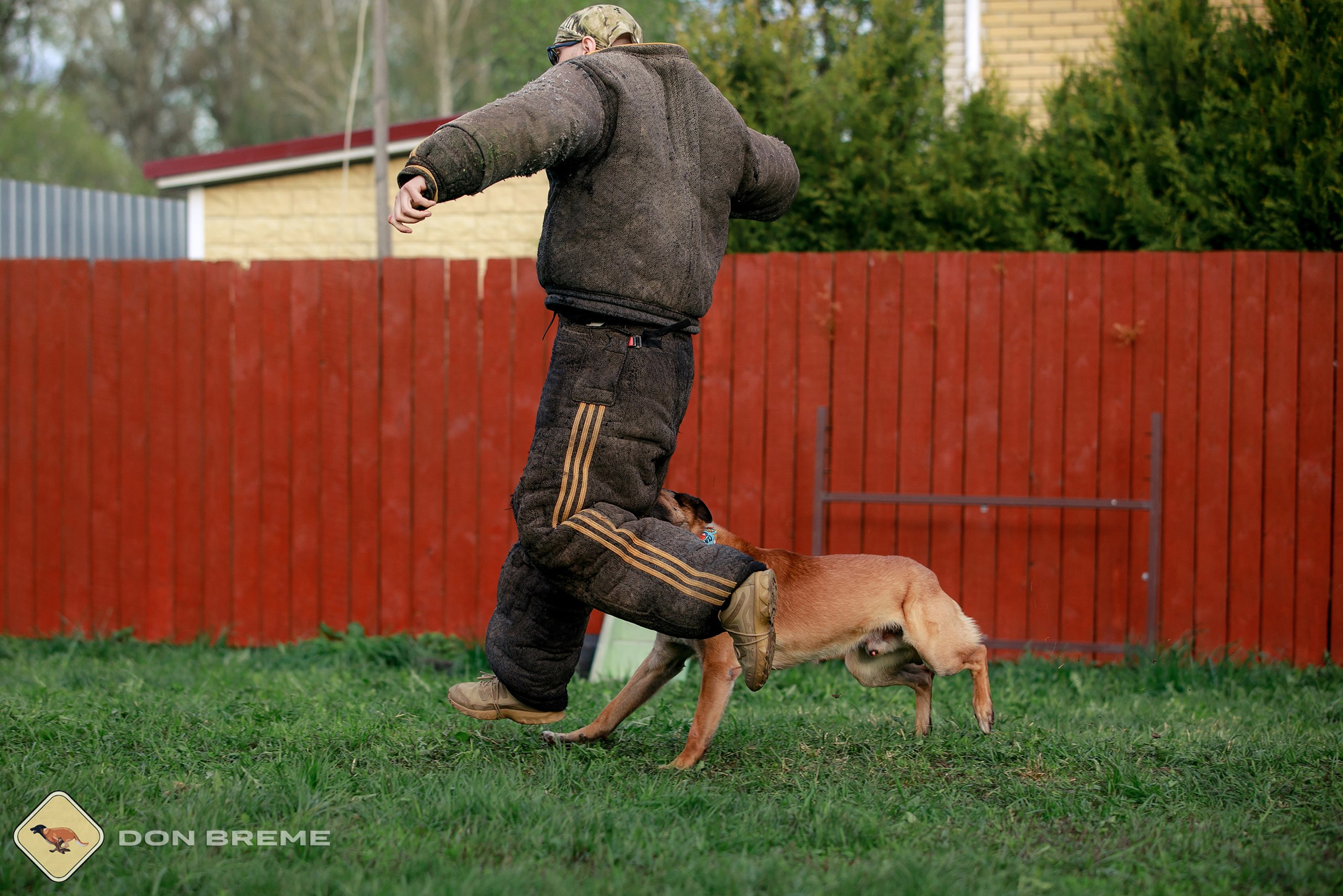 Семинар для фигурантов, день 2. Фотограф-анималист Mary Mart — Москва, Питер