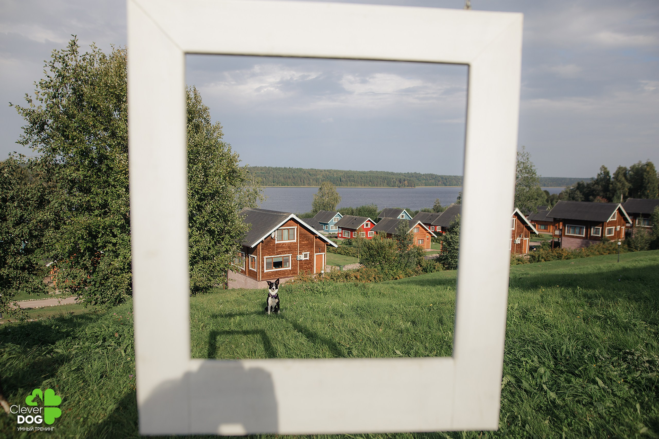 Кинологический лагерь CleverDog, 2024. Фотограф-анималист Mary Mart — Москва, Питер