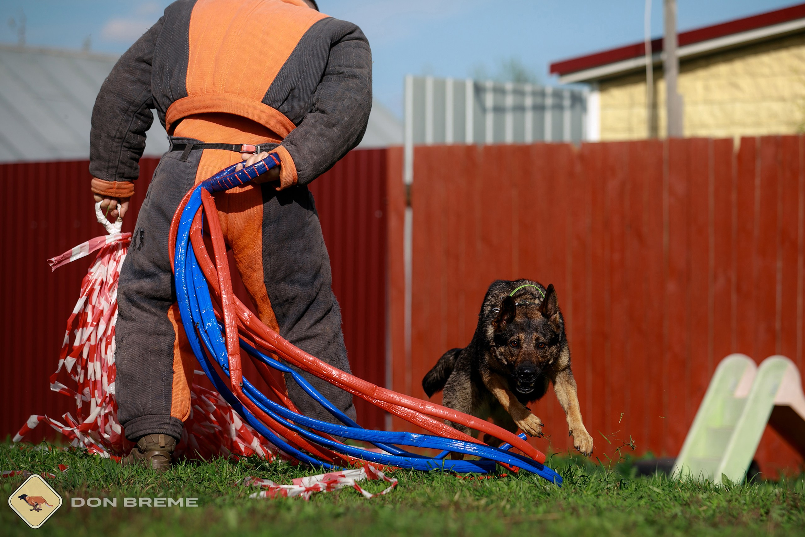 Семинар для фигурантов, день 2. Фотограф-анималист Mary Mart — Москва, Питер