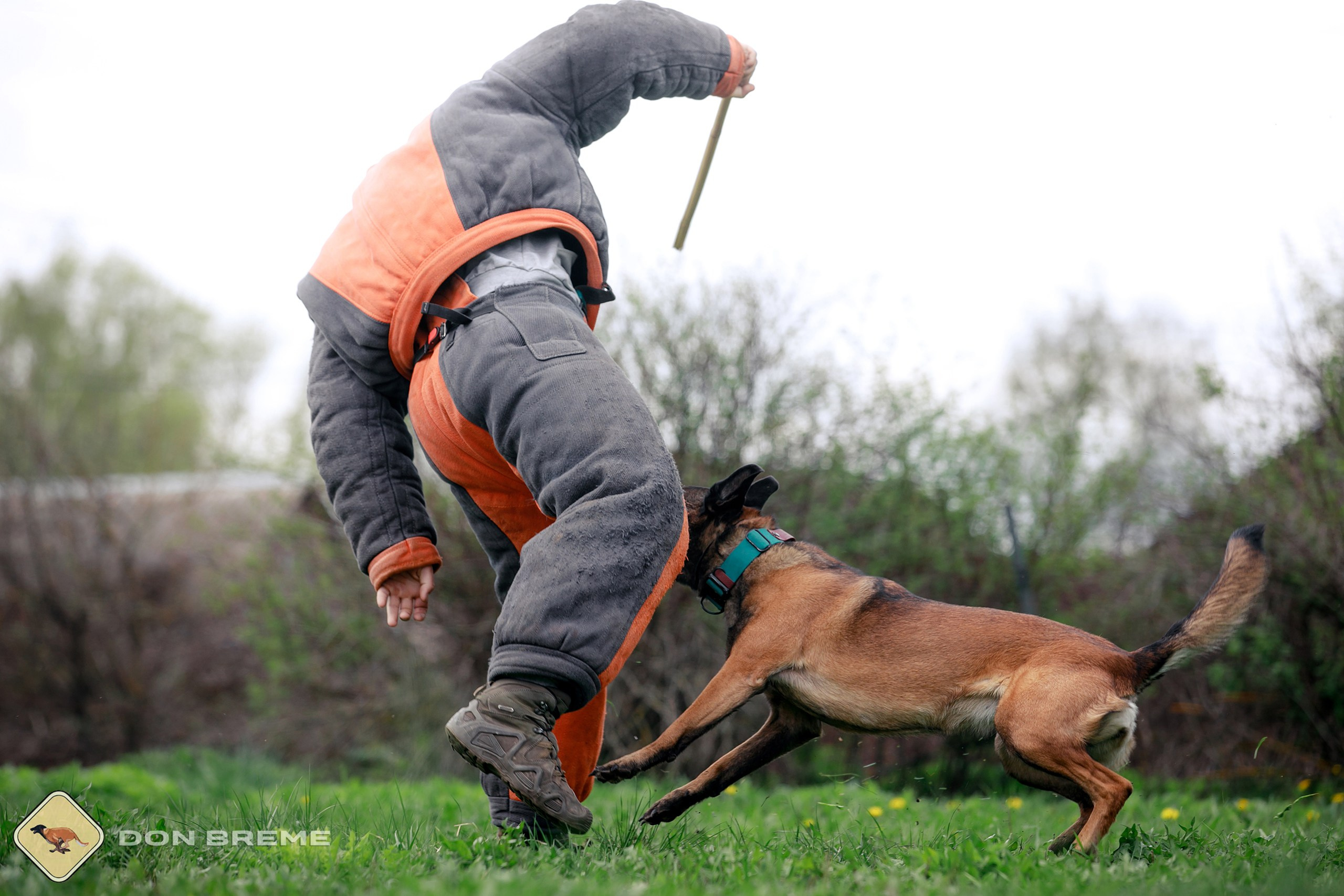 Семинар для фигурантов, день 2. Фотограф-анималист Mary Mart — Москва, Питер