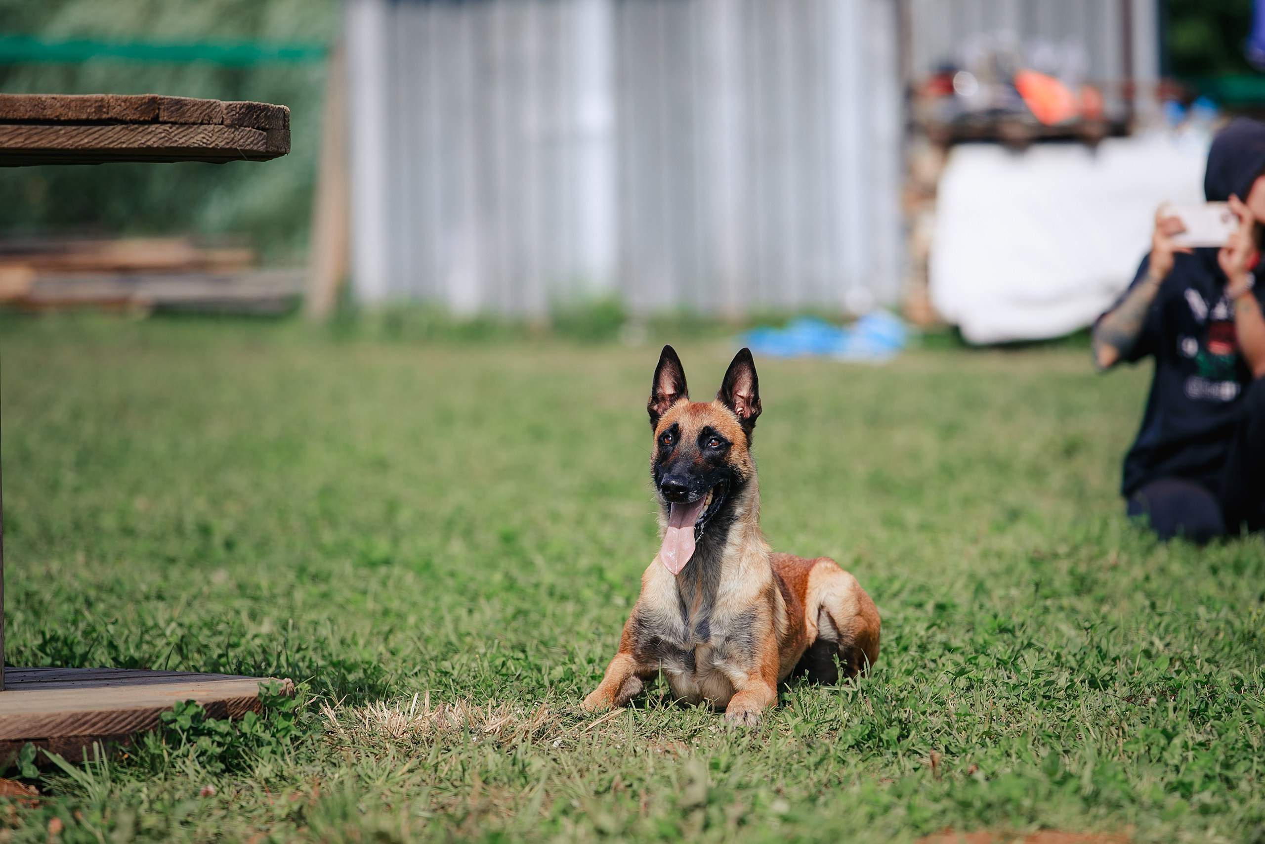 Мондьоринг М1, М2, М3, Вологда. Фотограф-анималист Mary Mart — Москва, Питер