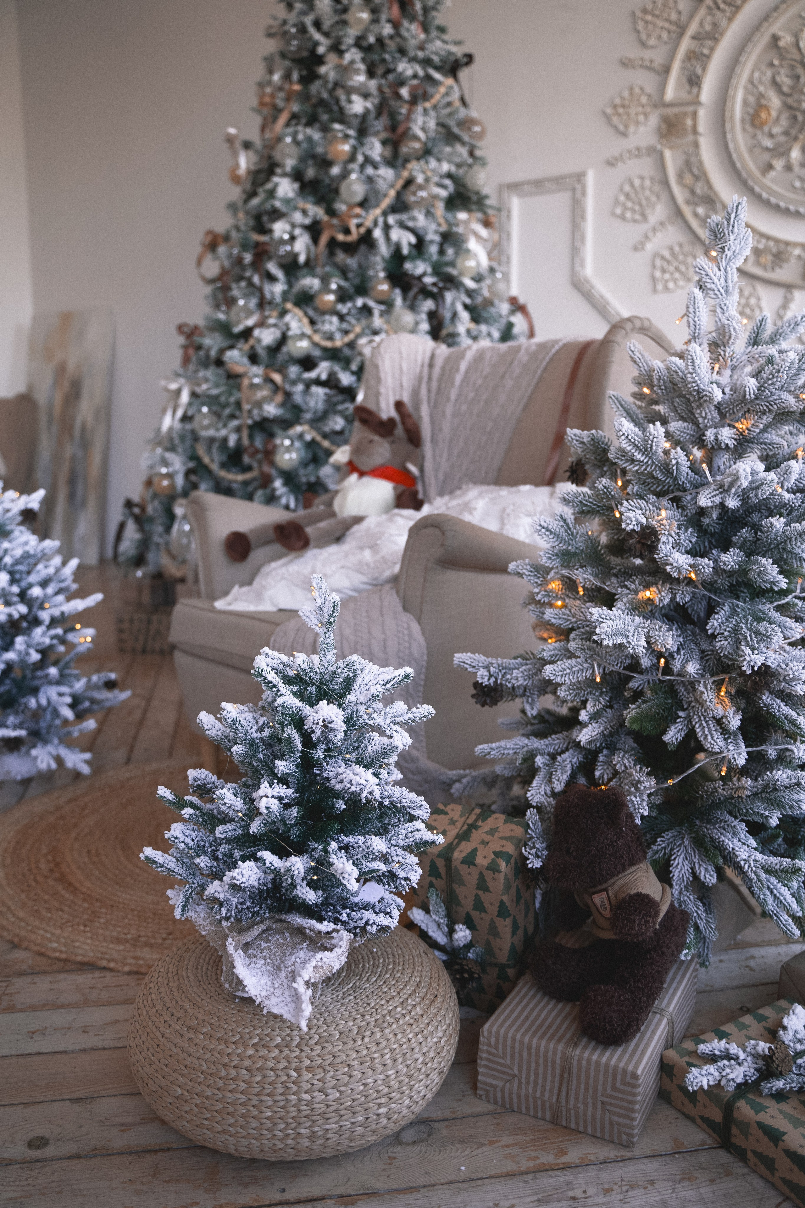 Зал Композиция. Фотограф г. Хабаровск. Семейные и индивидуальные съёмки