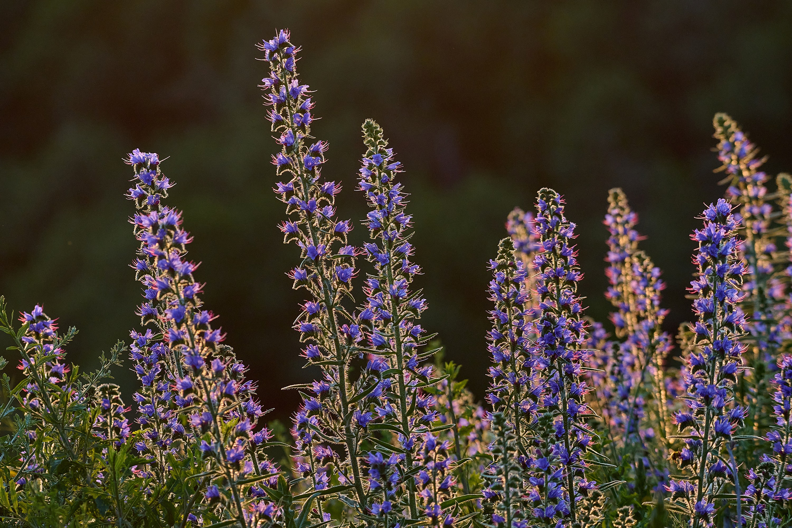 Текстуры и другие фоны. Textures and other. Яркие фото на Чёрном море