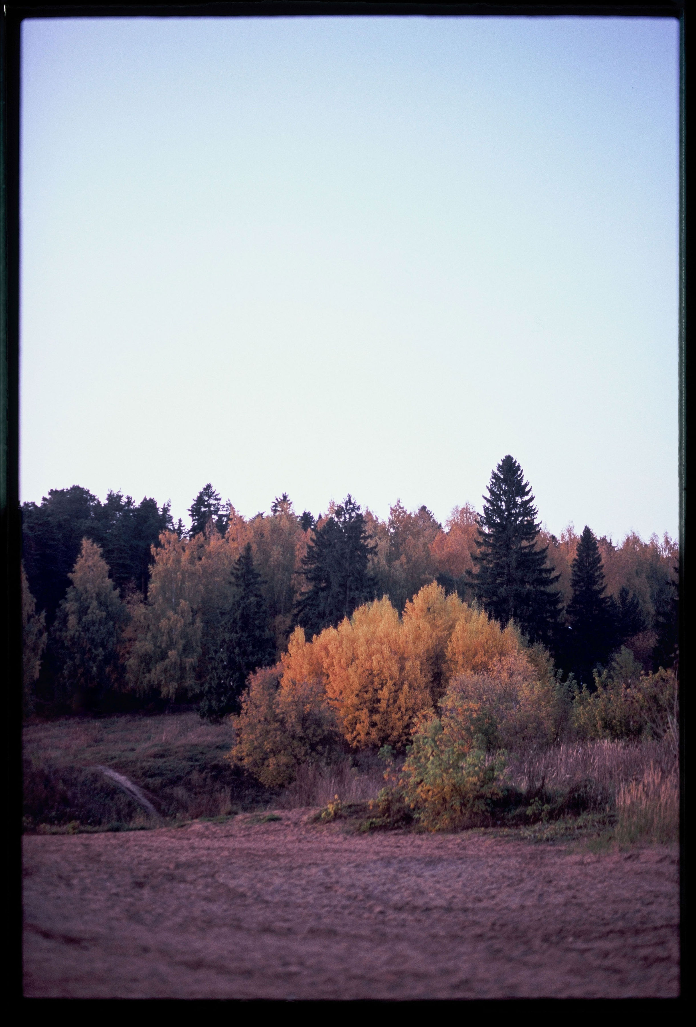 MORTYMANTA. Никита Демидов. Nikita Demidov