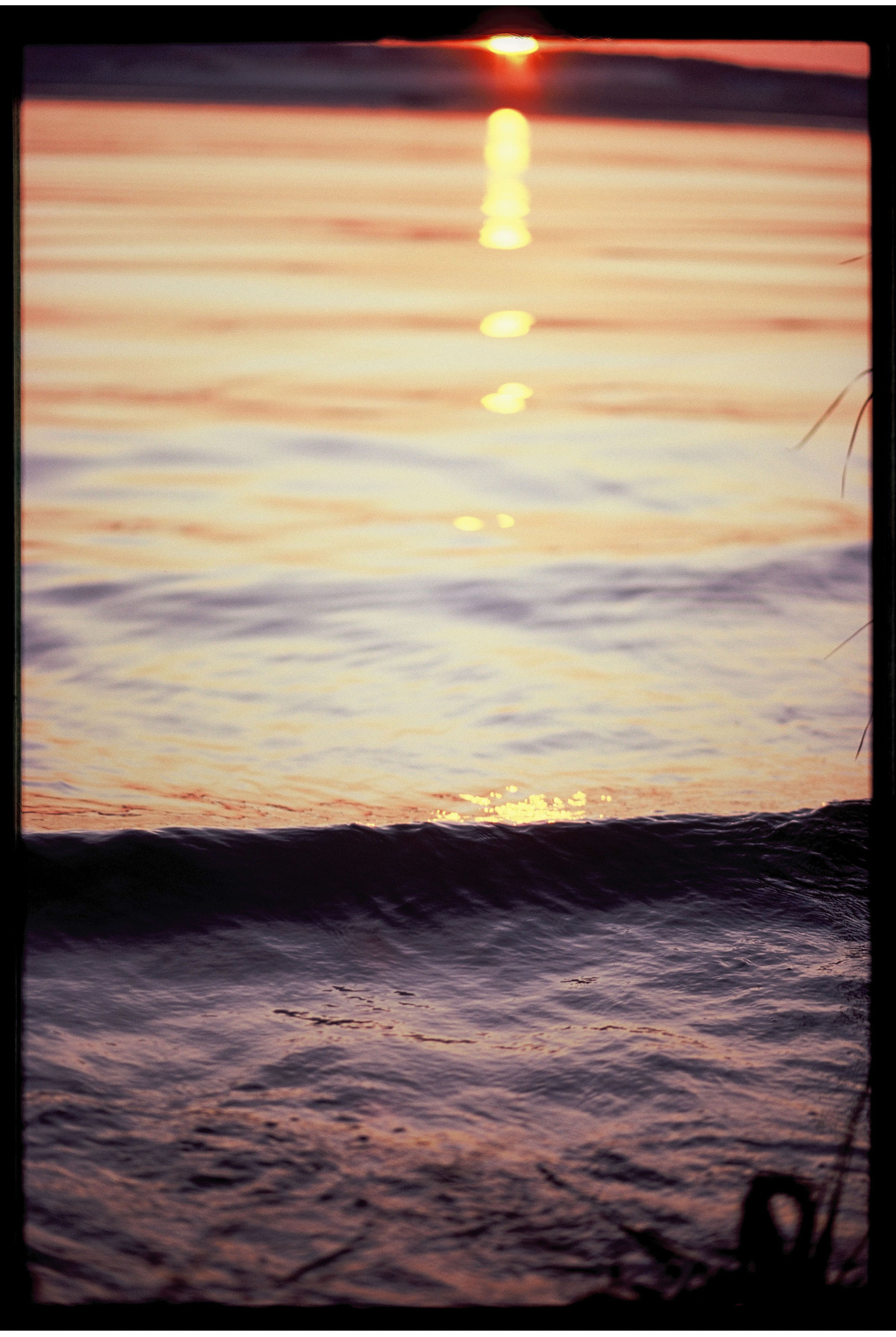 MORTYMANTA. Никита Демидов. Nikita Demidov