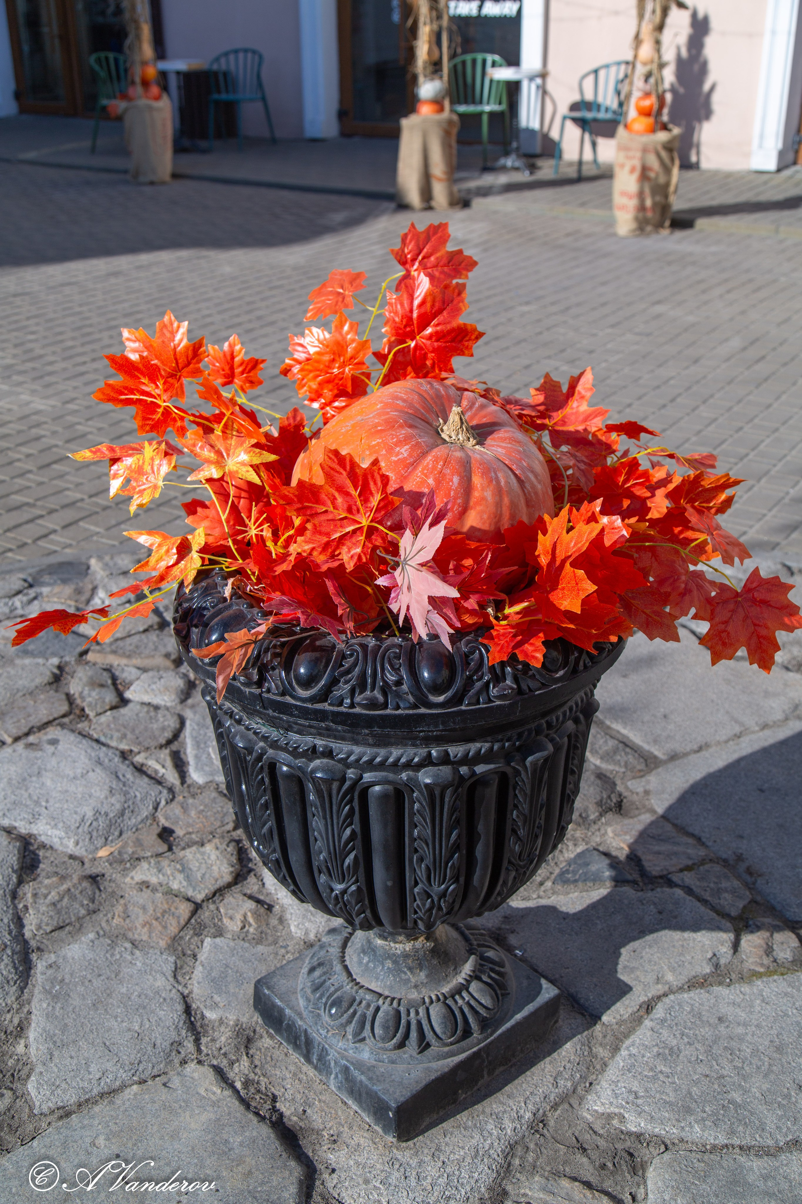 Омск 2024. Фотограф Омск | Александр Вандеров