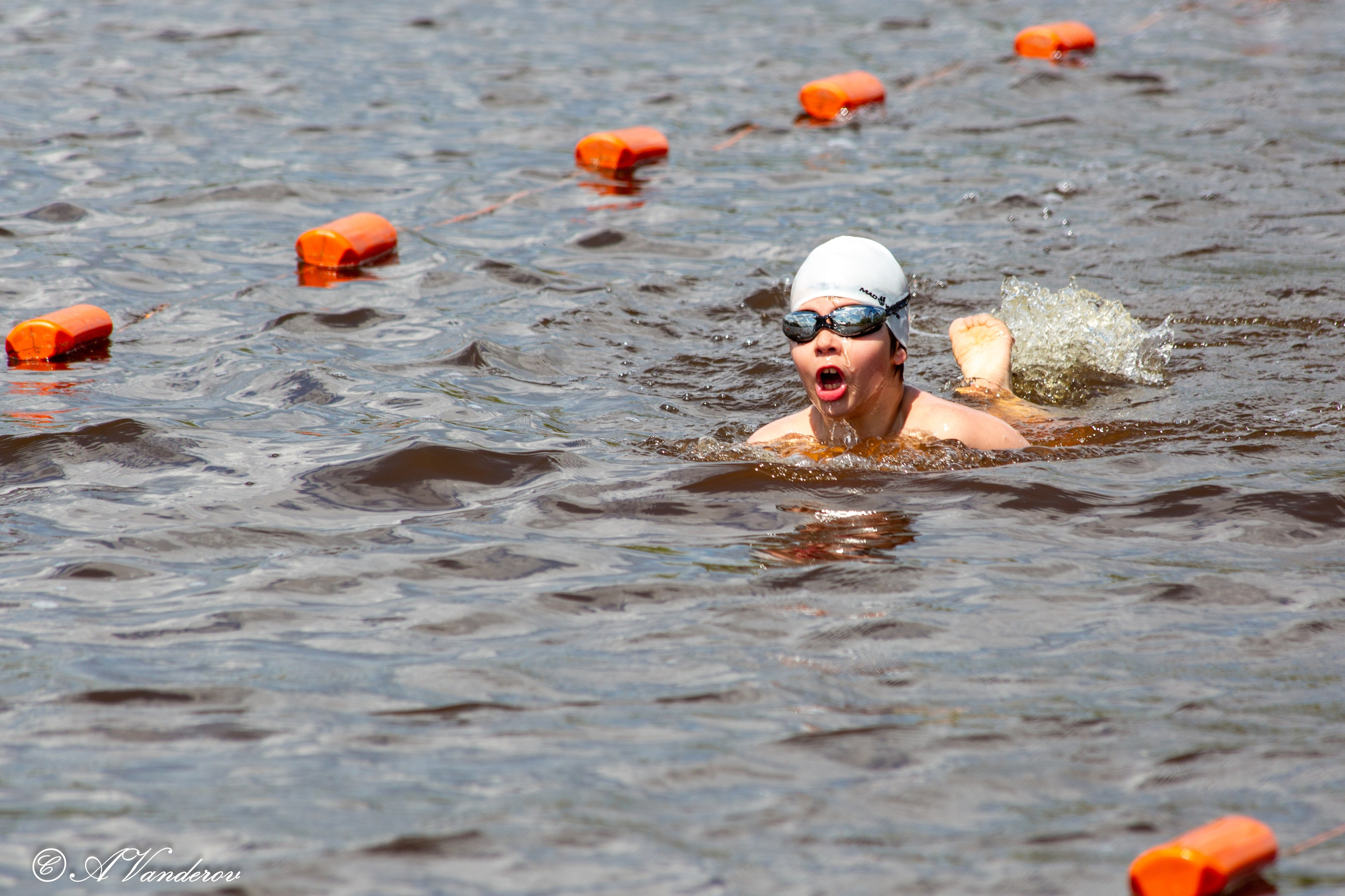 Заплыв 02.06.2024. Фотограф Омск | Александр Вандеров