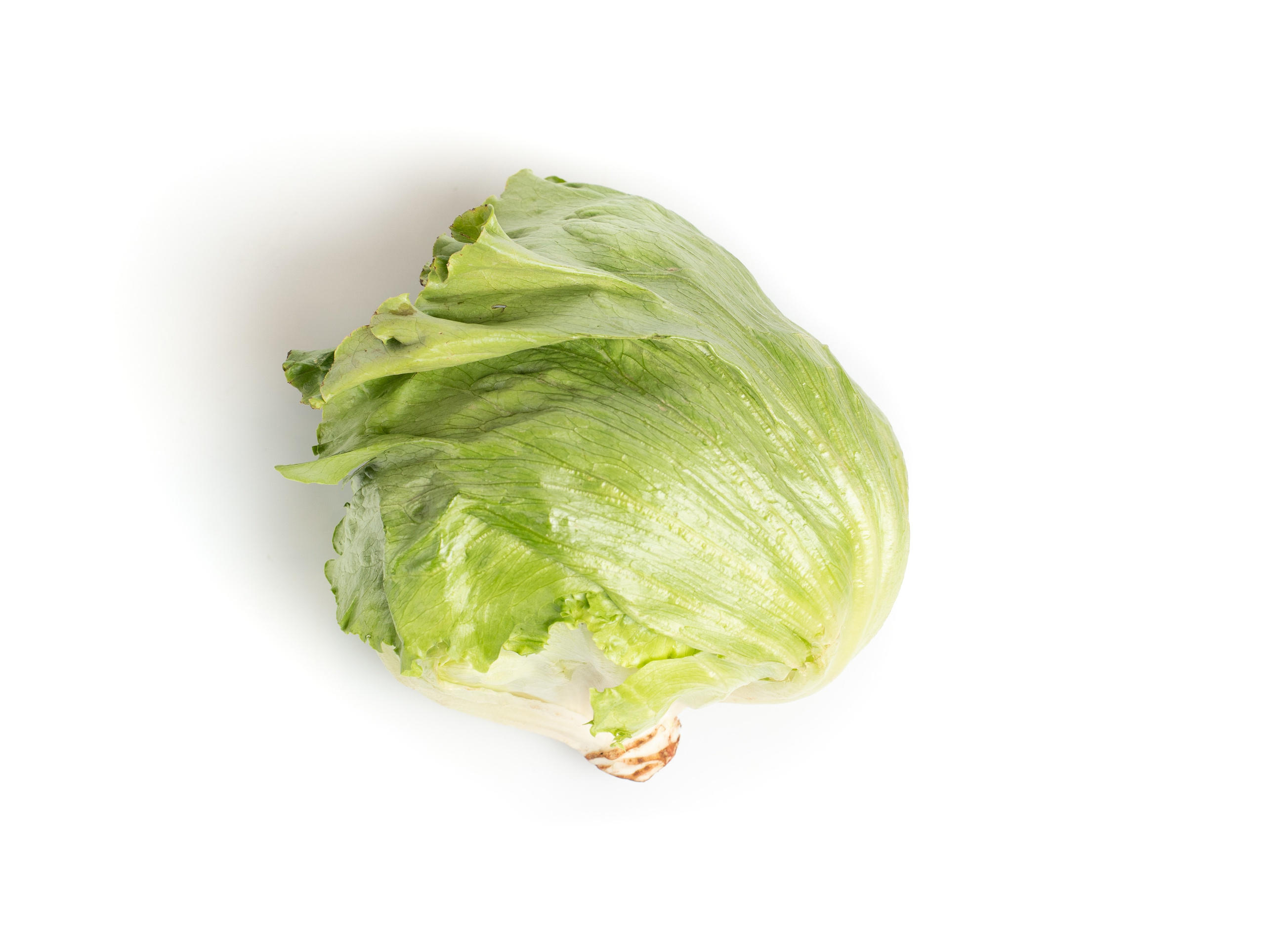 Яндекс Маркет. Предметный и фуд-фотограф в Москве Анна Царенко