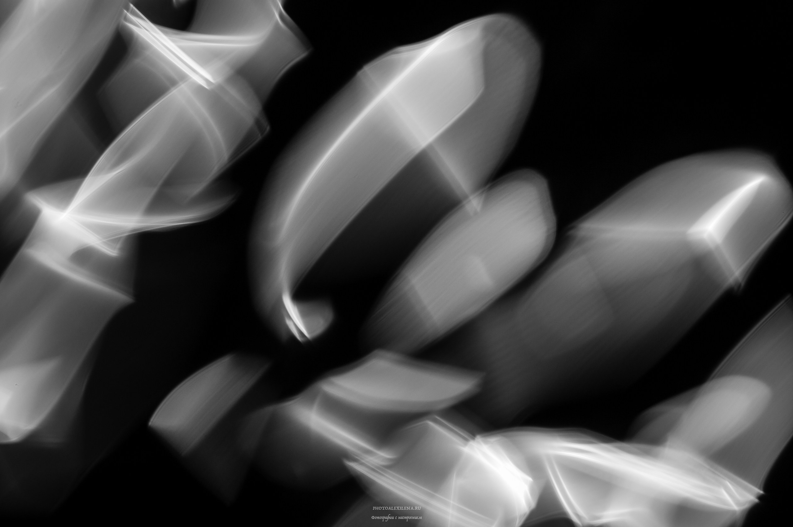 Отражение в воде. Авторские стильные фотокартины