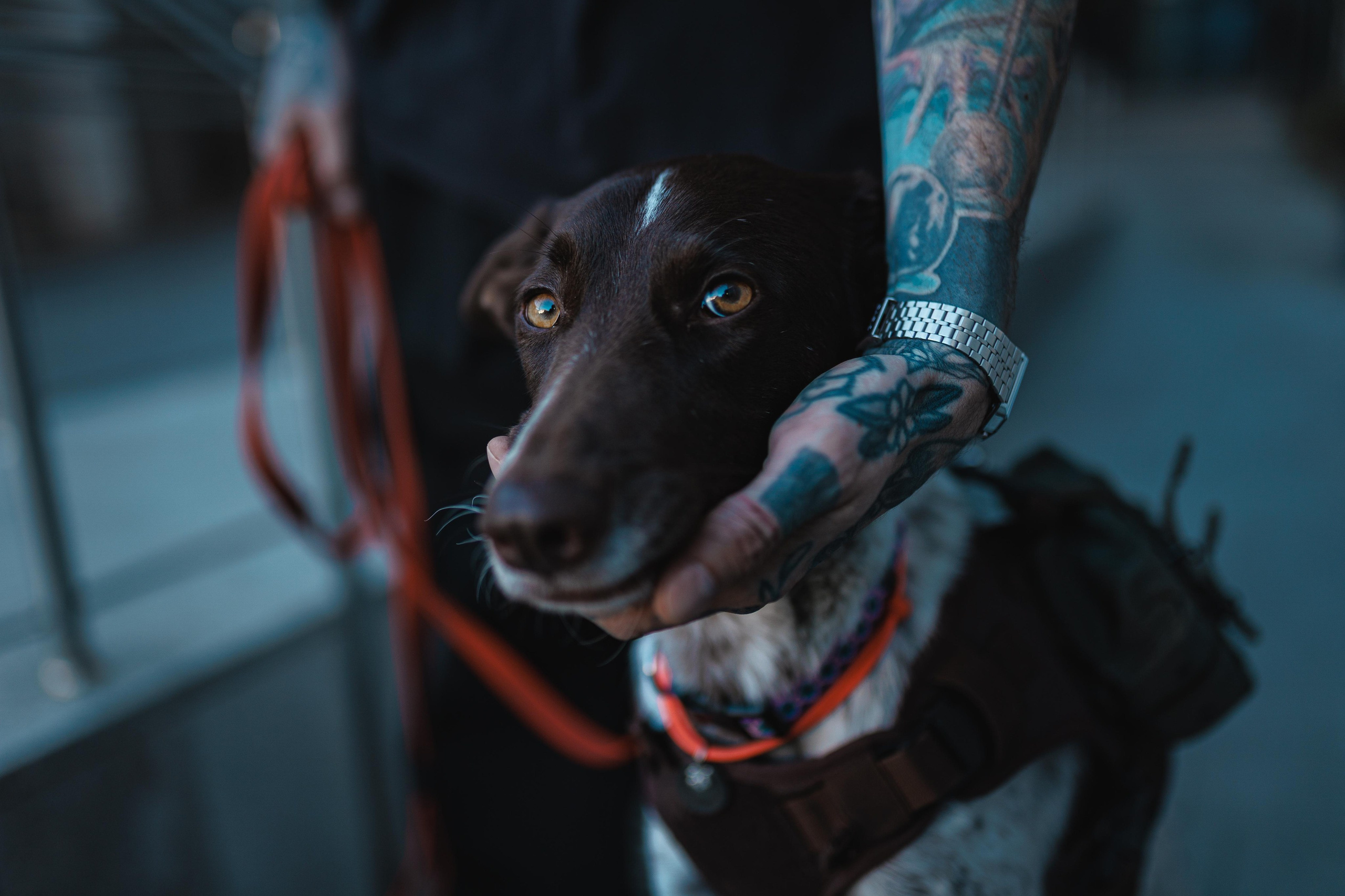 Никита. Фотограф в Ростове-на-Дону Ника Обида