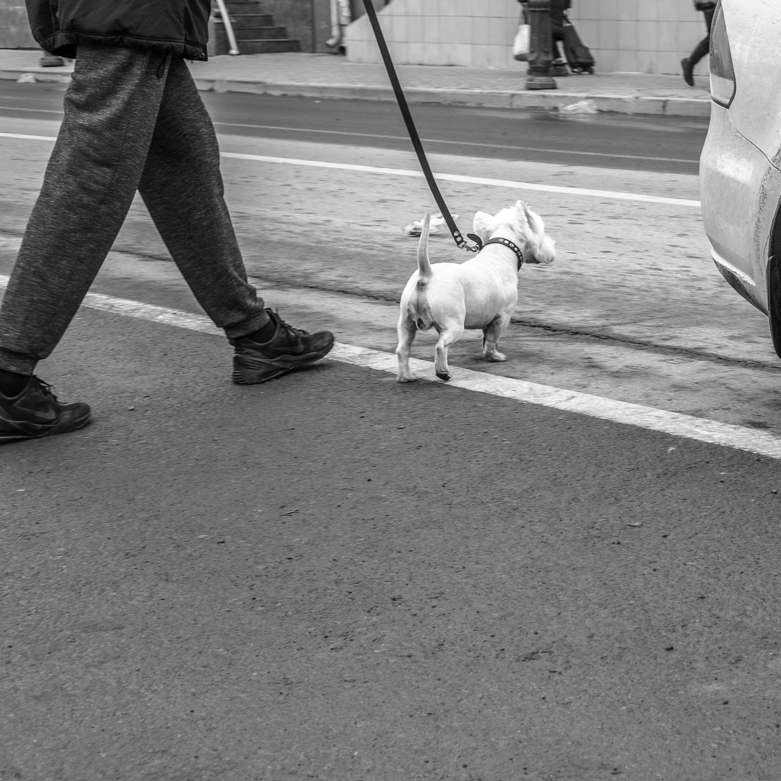 Рекламный фотограф из Гуанчжоу: история о Ростове-на-Дону. Коммерческий и предметный фотограф в Гуанчжоу Коваленко Александр