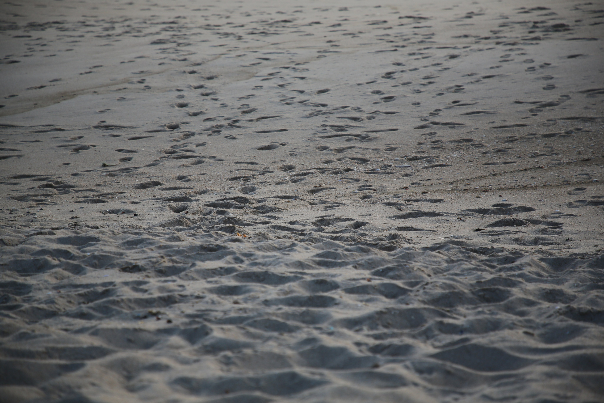 Esmoriz, Portugal. Andrey Filippov Photographer