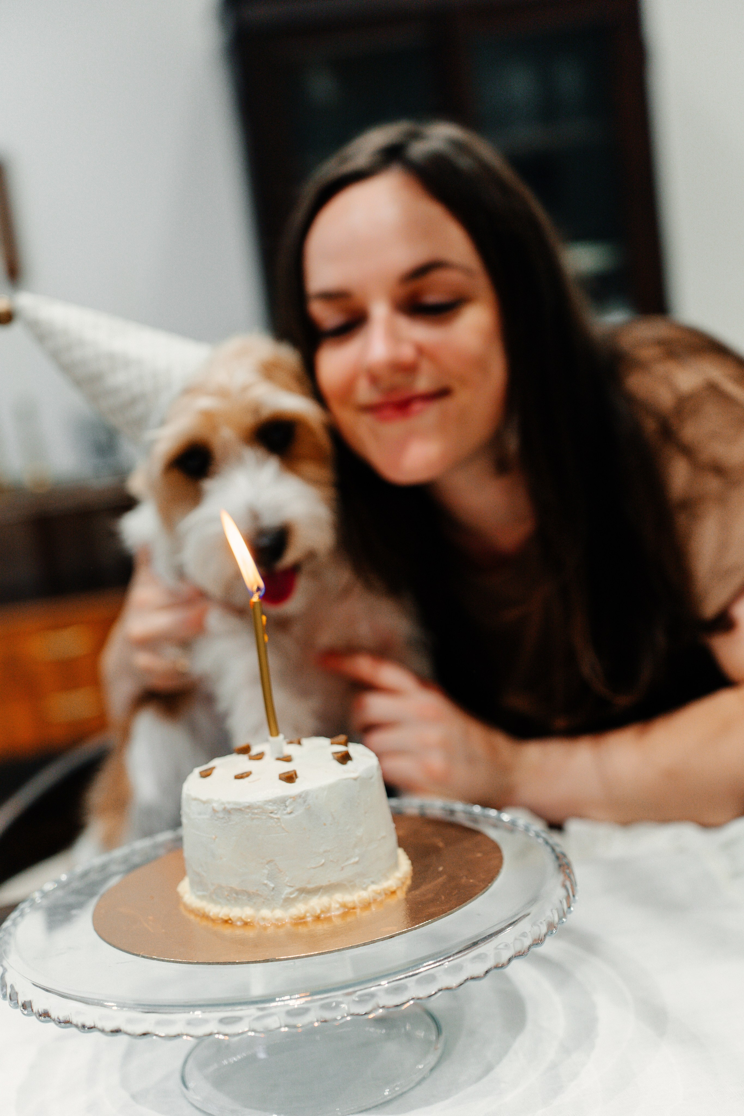 Красота хвостатых глазами хозяйки. Ваш семейный фотограф в Минске — Вика Трегубова