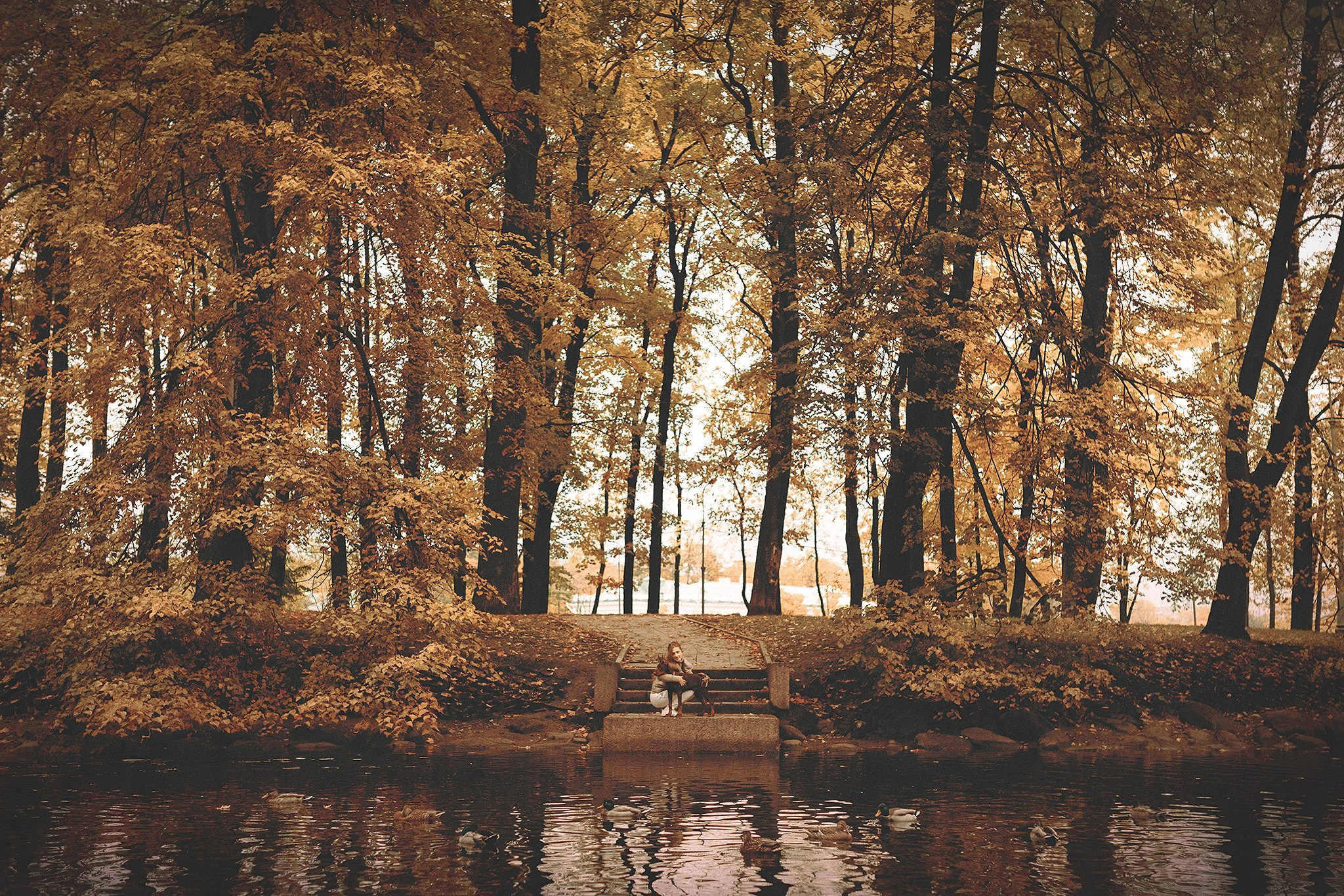 Йода, Вероника. Фотограф-анималист • love-story • Санкт-Петербург