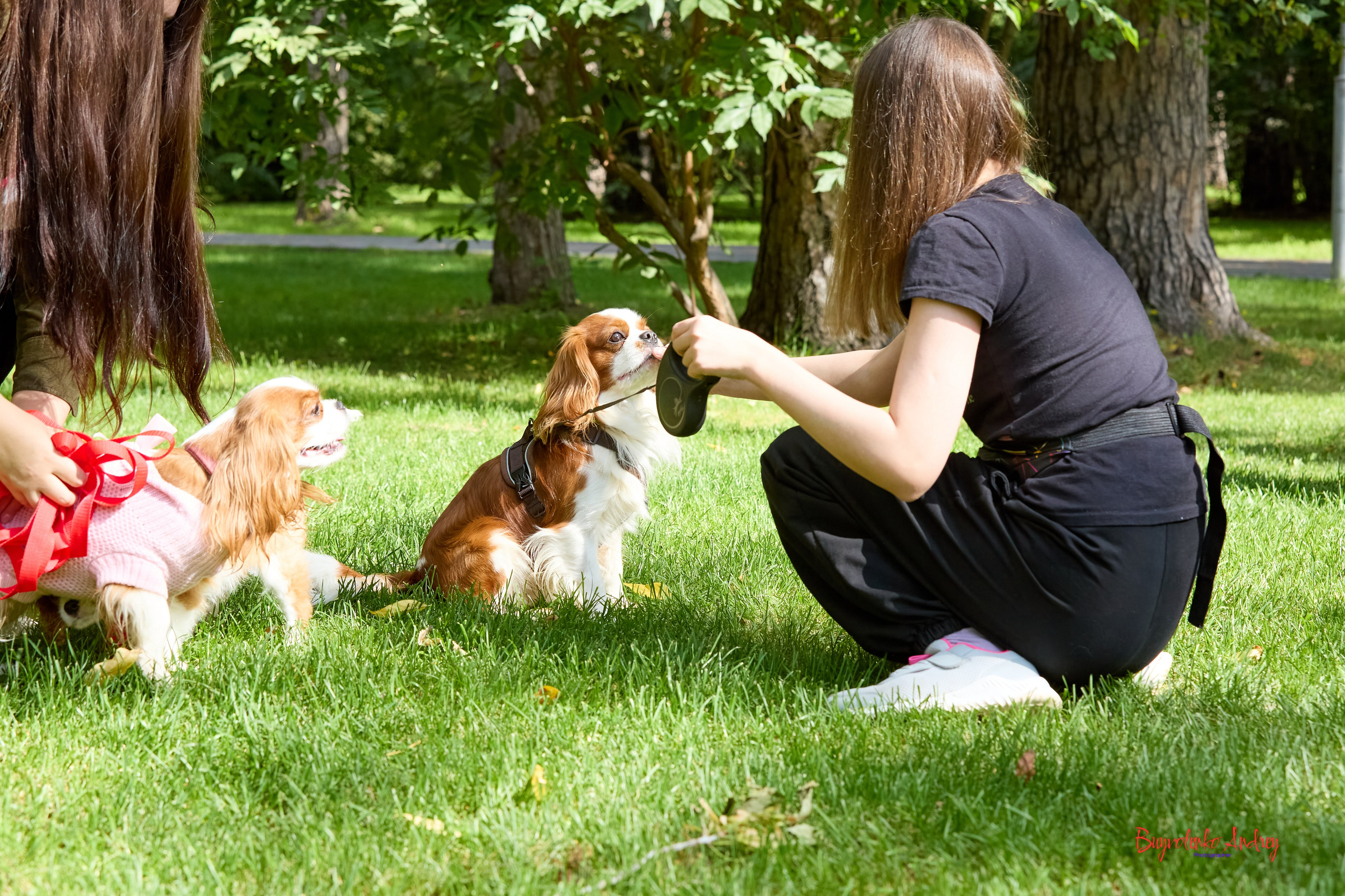 Фотопрогулка с кавалерами. Buyvolenko Andrey