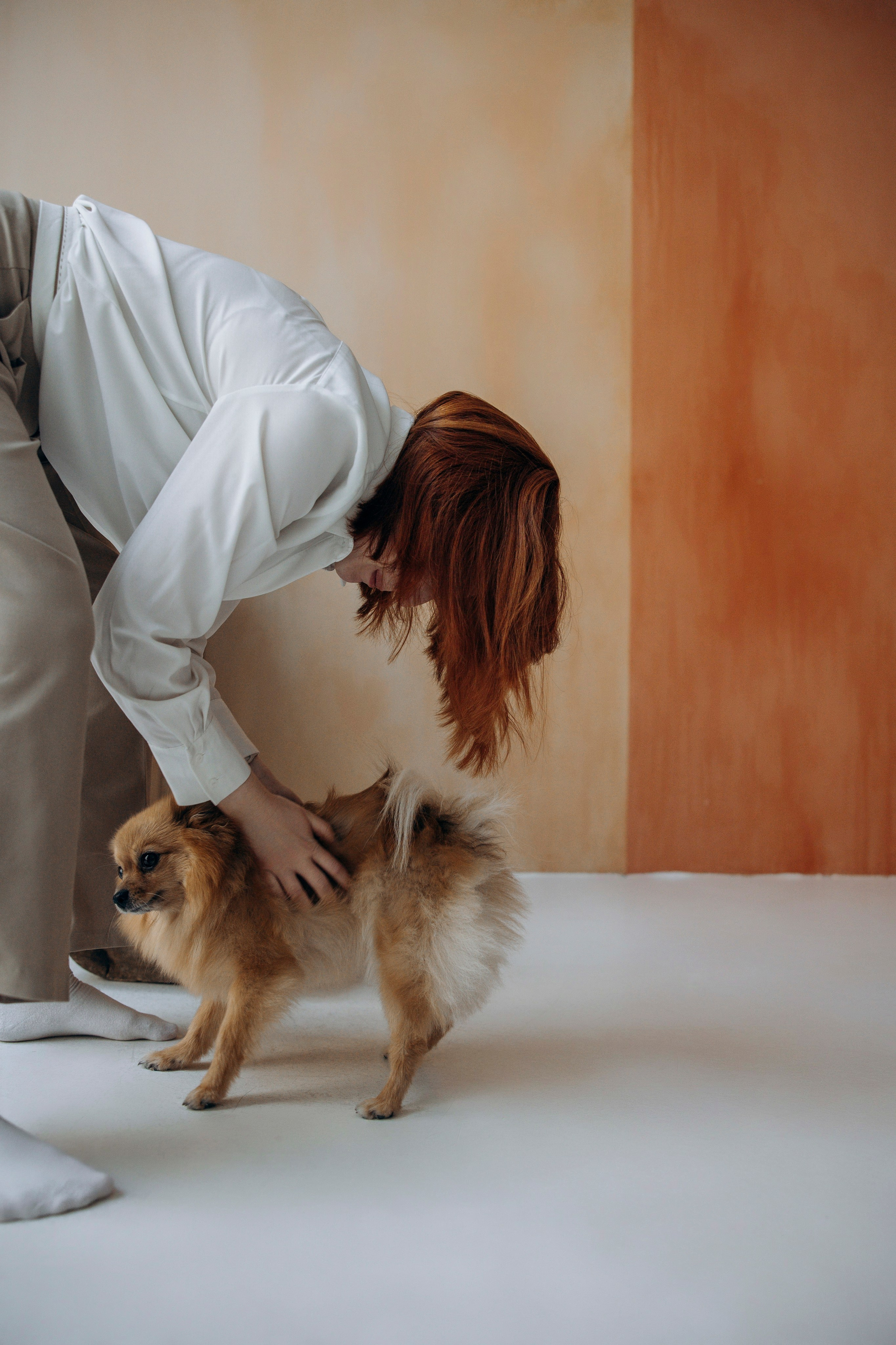 Съемка в студии с собакой. Анастасия Белаш