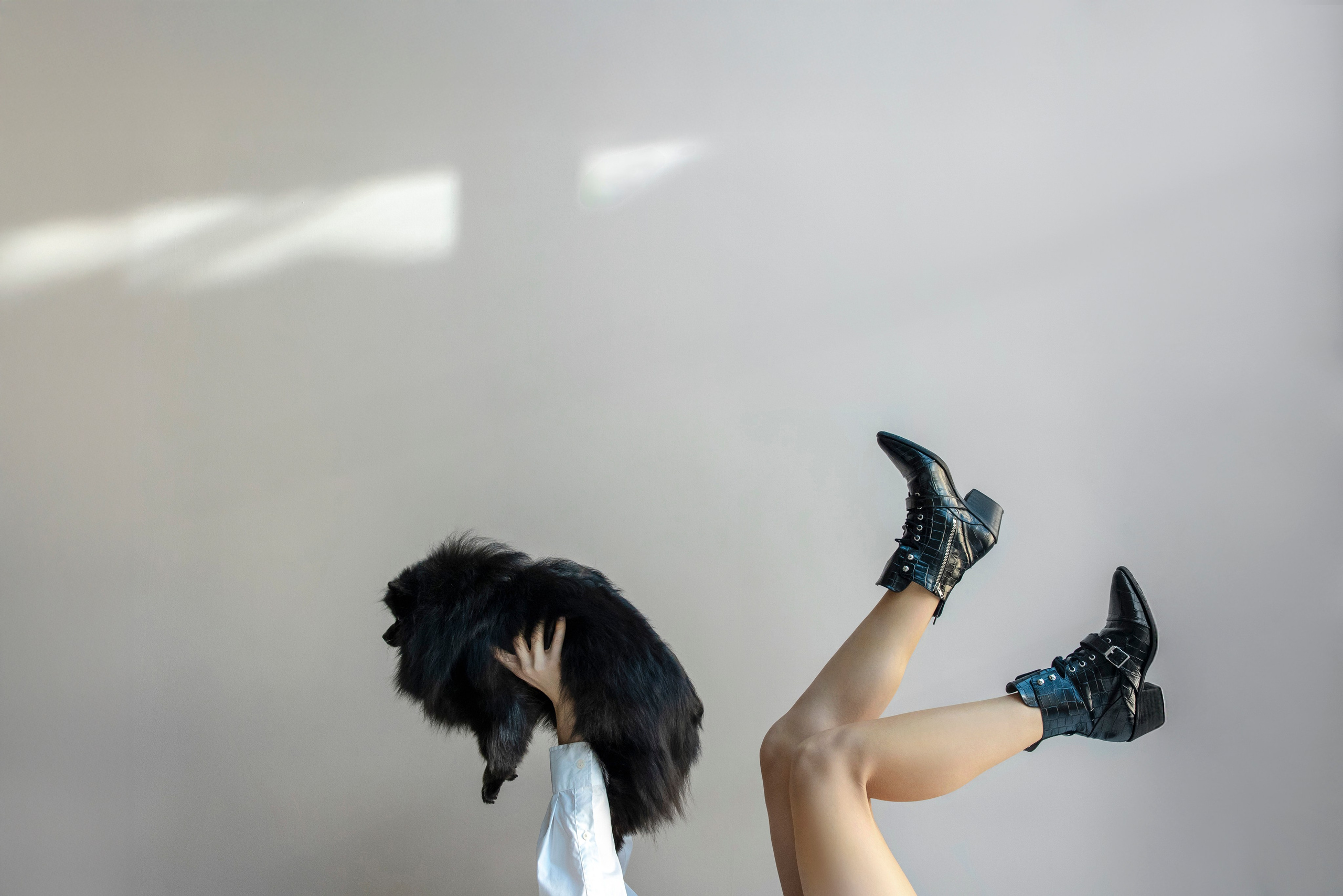 Съемка в студии с собакой. Анастасия Белаш