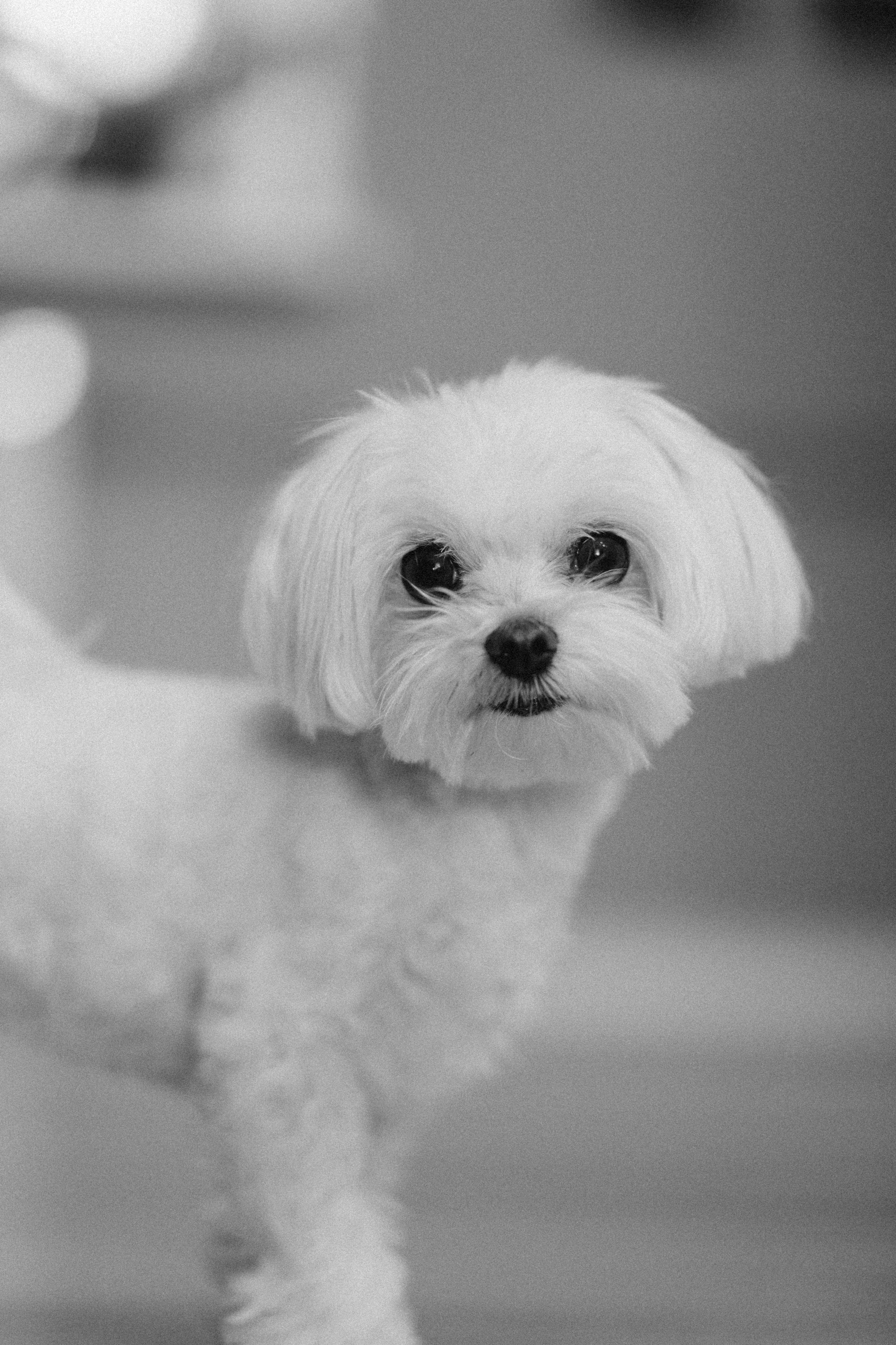 Малыш. Фотограф из Петербурга