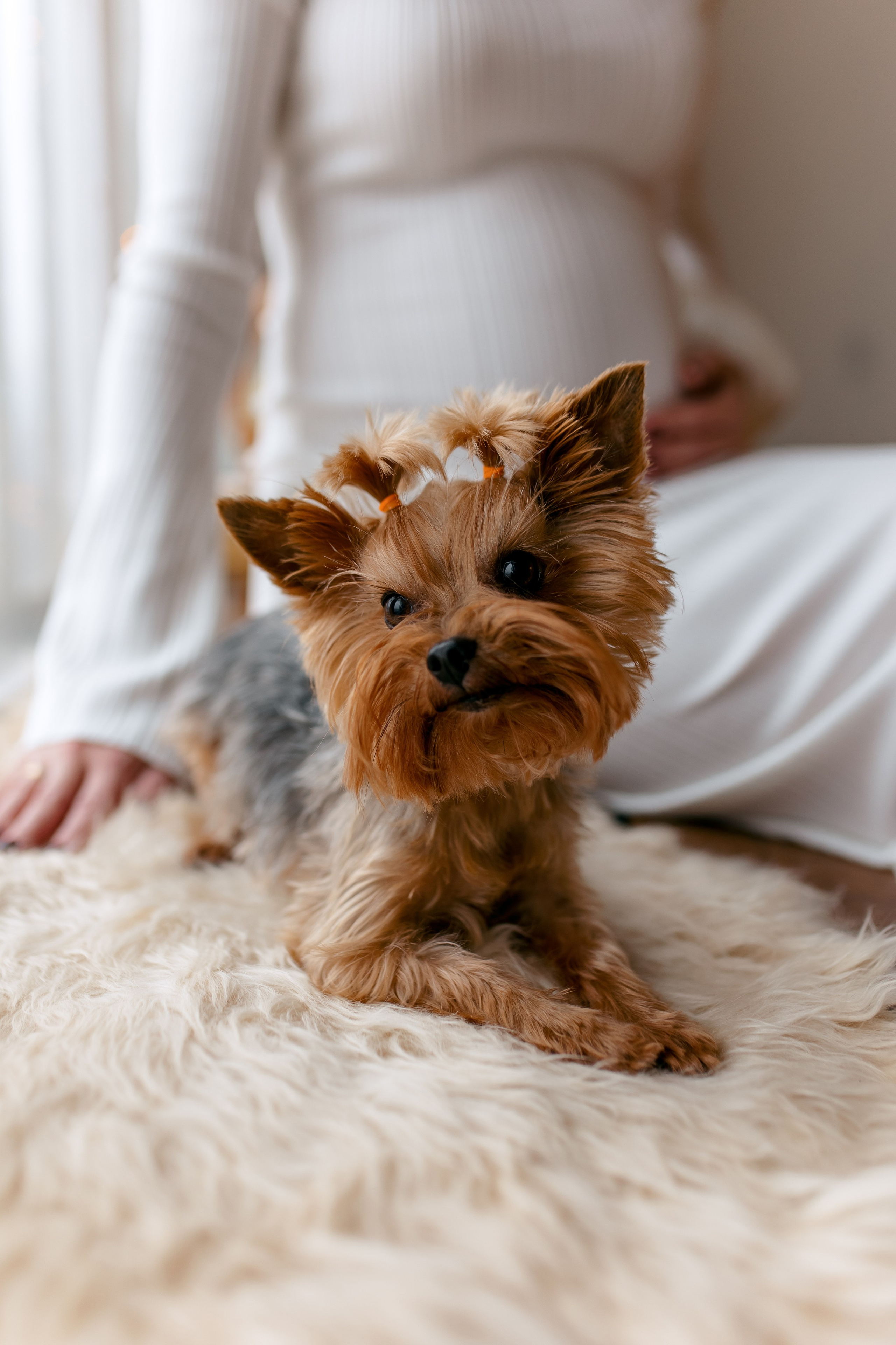Ваня и Юля. Свадебный и семейный фотограф в Туле и области Маша Костина