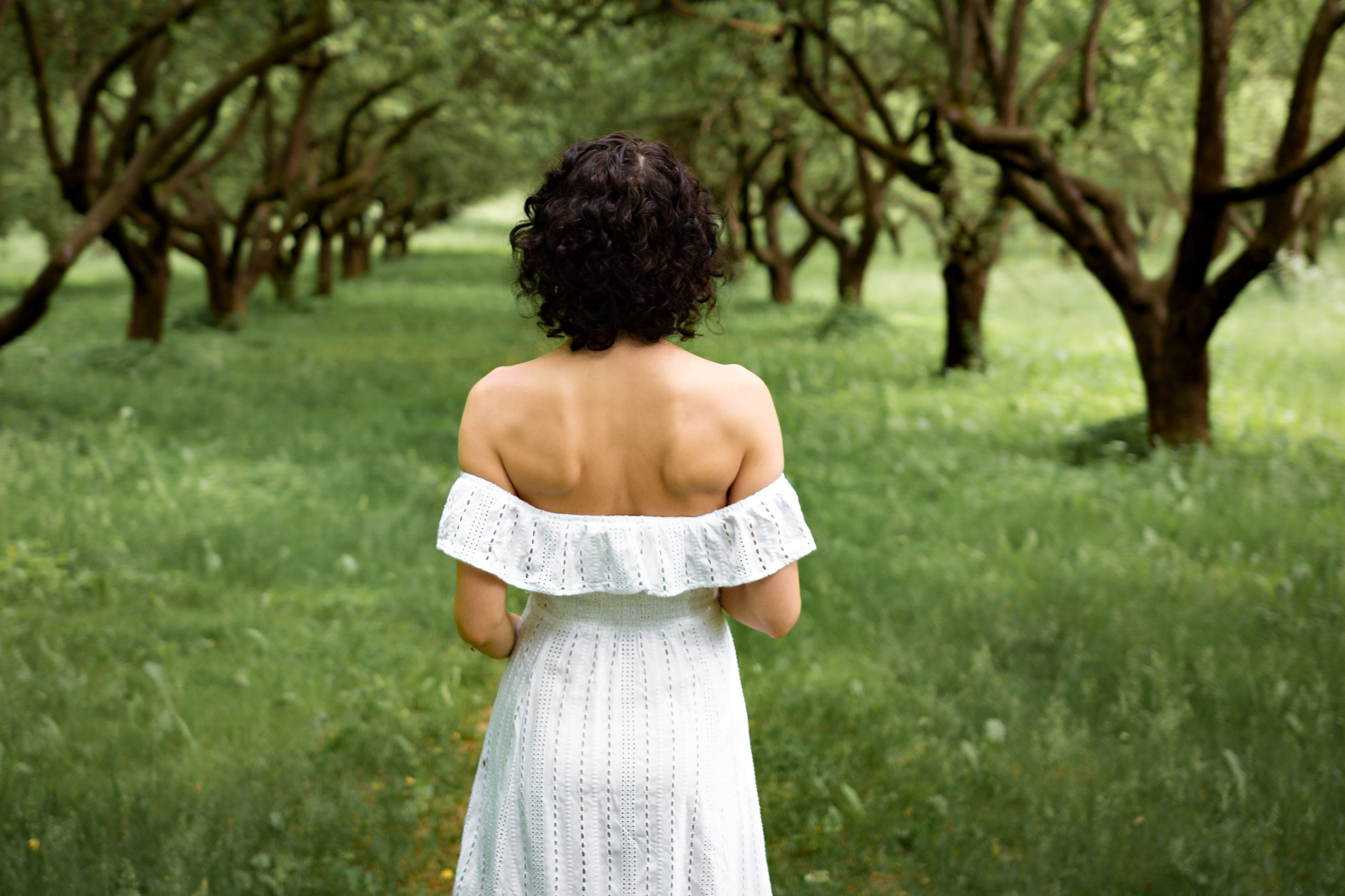 Зелёная симфония