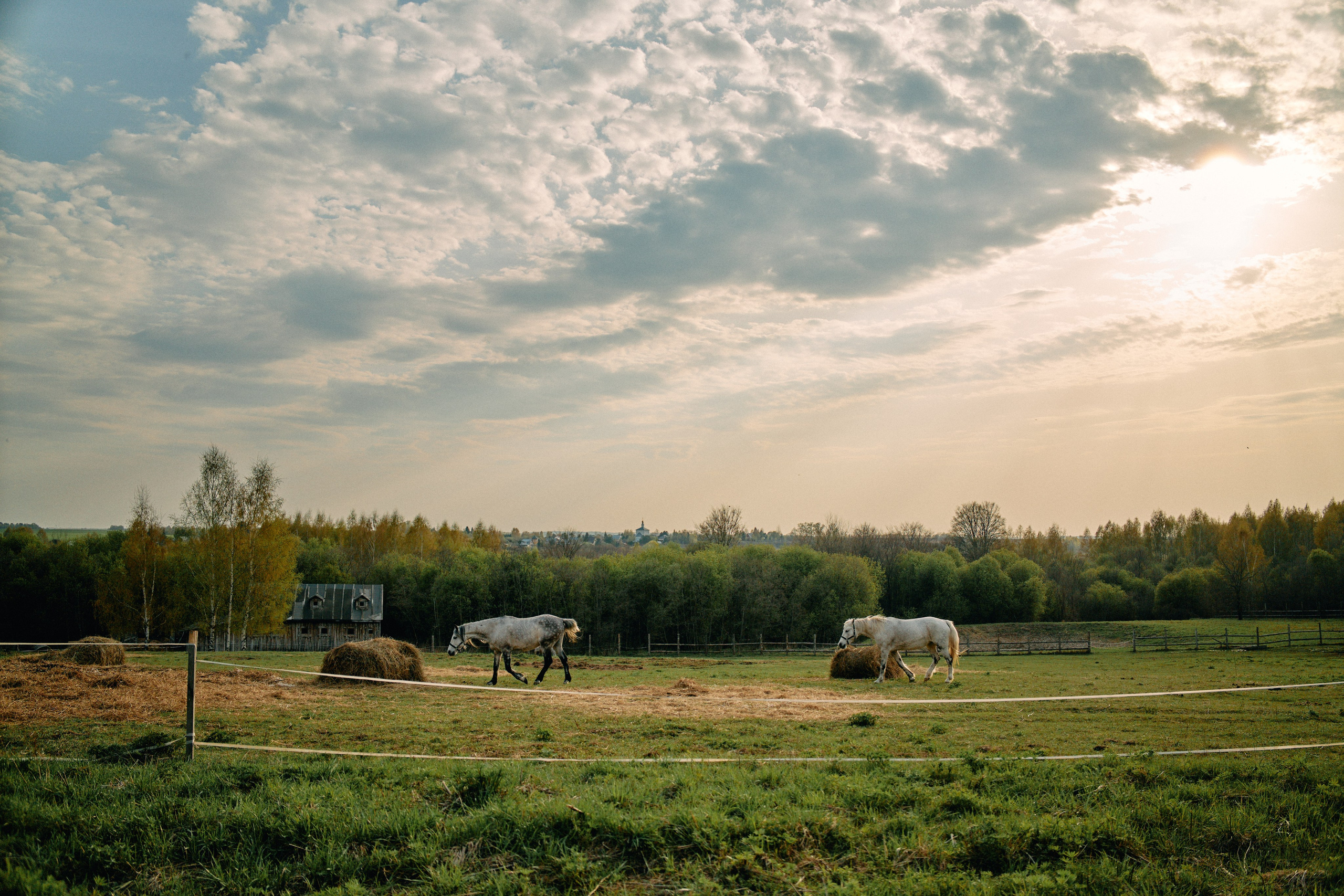Бутик-отель Поле летом. Профессиональный Фотограф во Владимире, в Москве и в Суздале — Полина Романычева