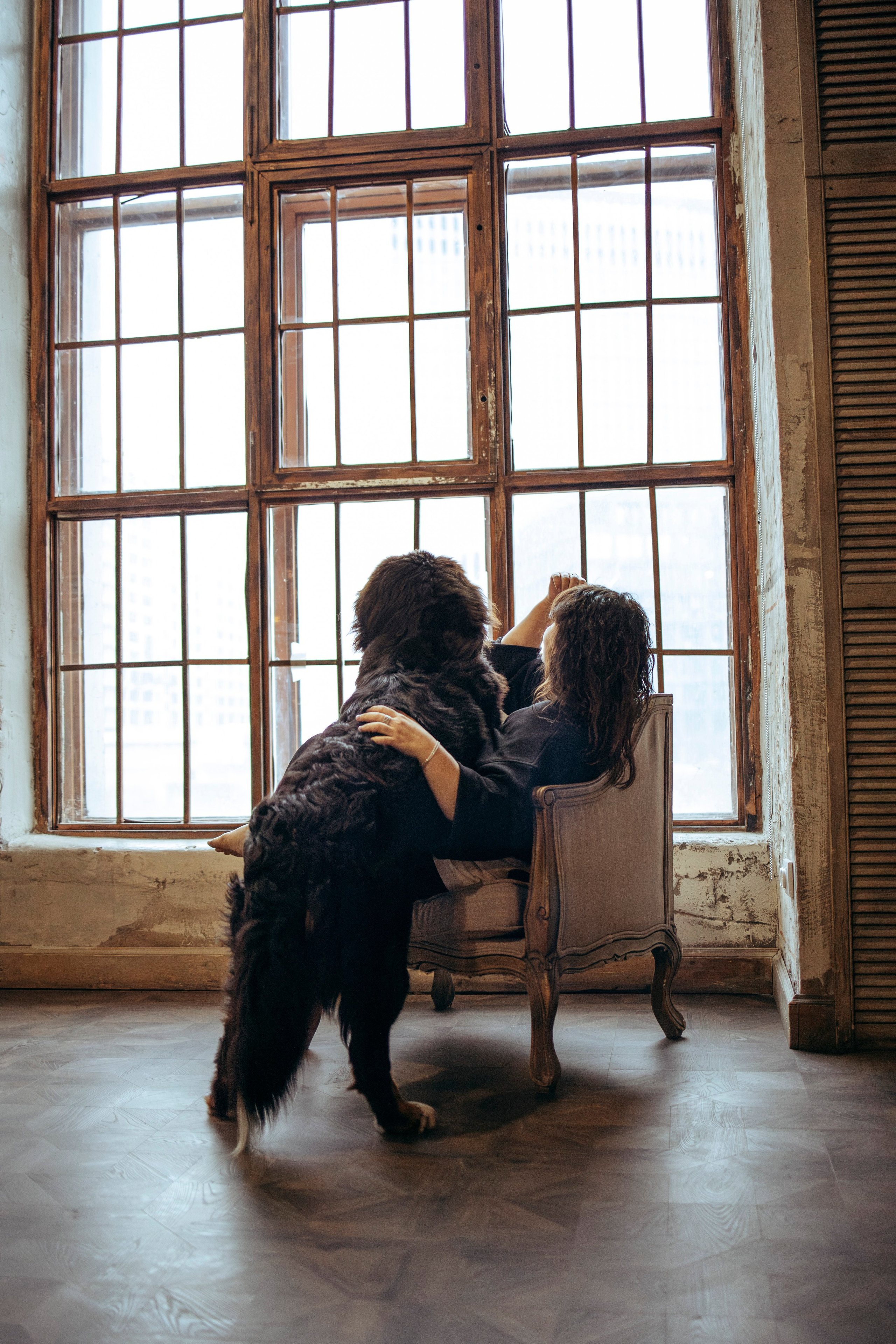 Съемка в студии с собакой. Анастасия Белаш