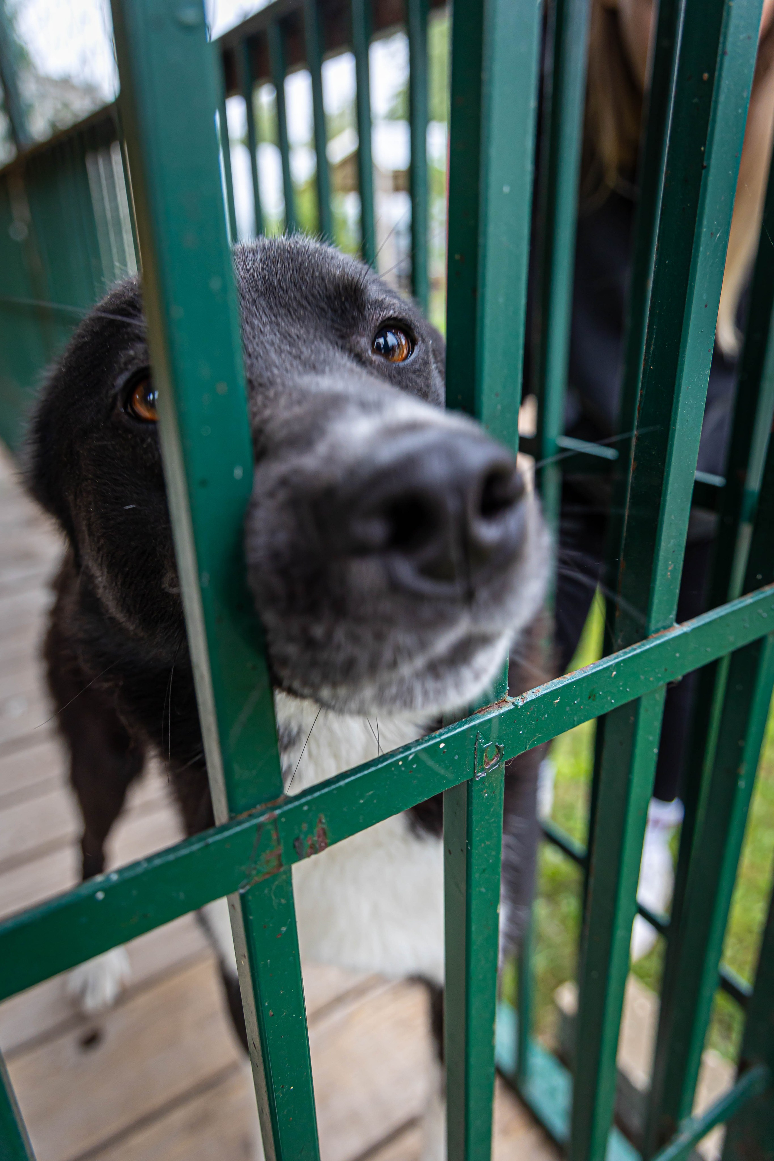 Тeam Building РОТЕКС. Фото и видео съемка Ваших мероприятий