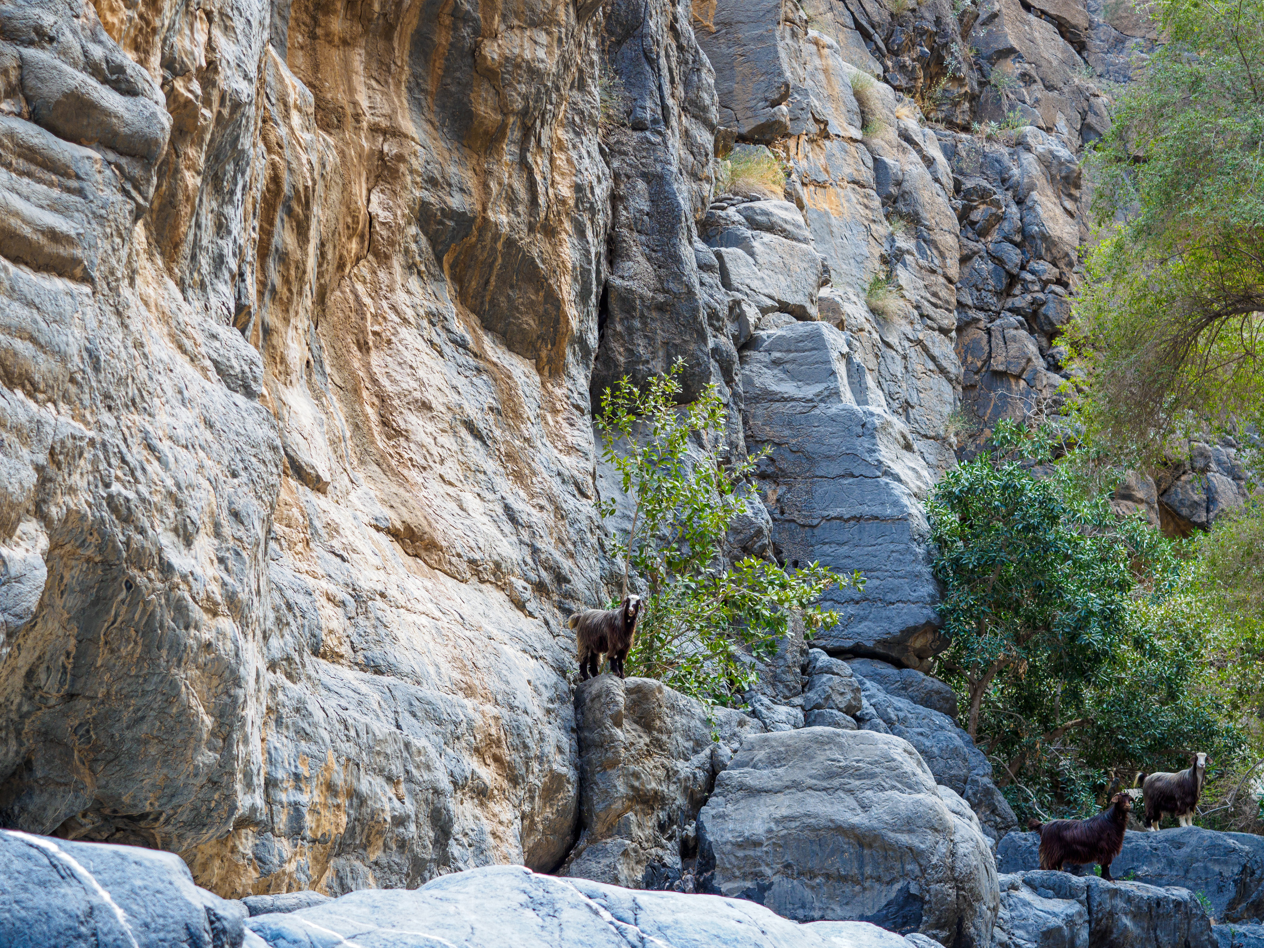 Оман. Творческие сьемки