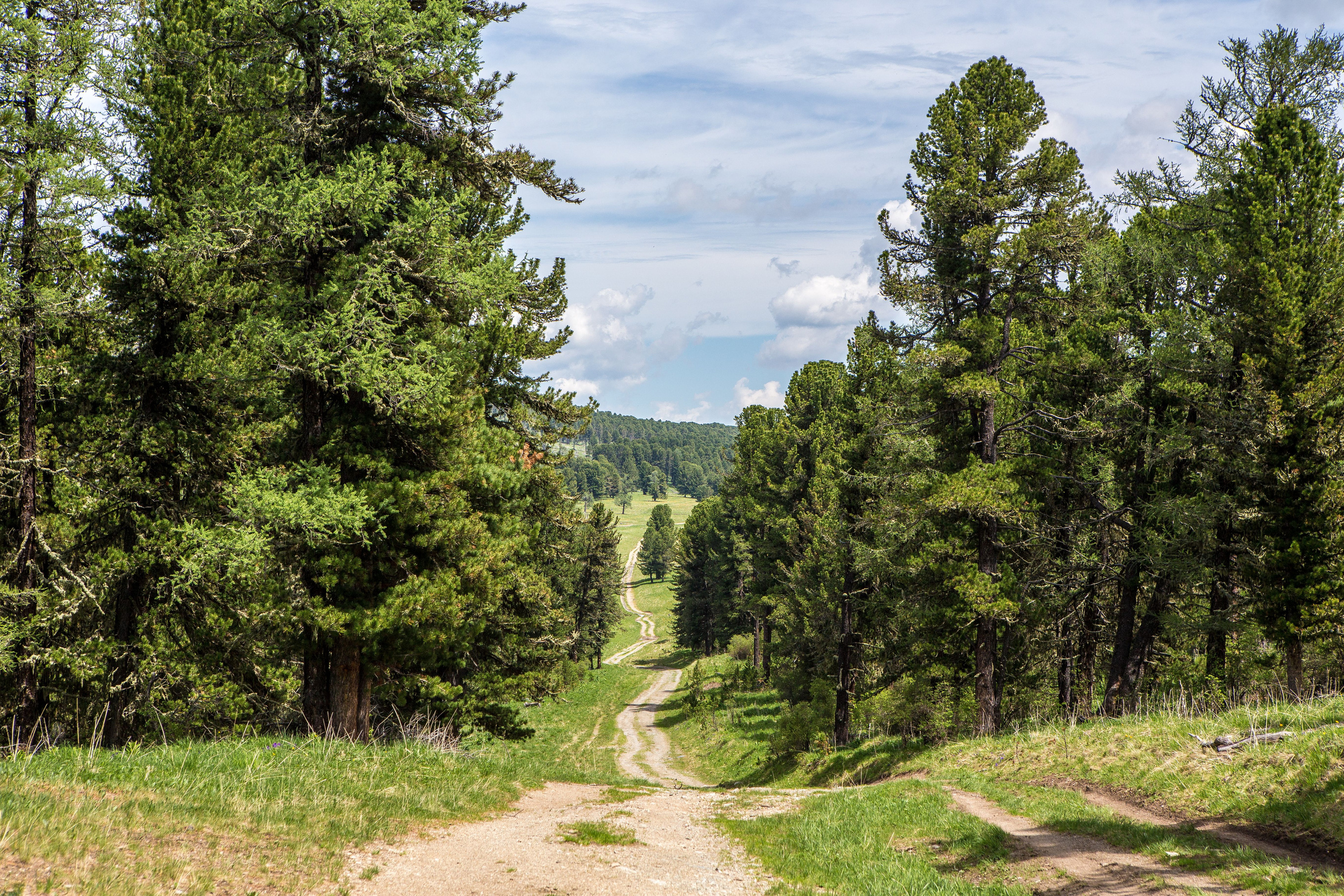 Алтай. Творческие сьемки