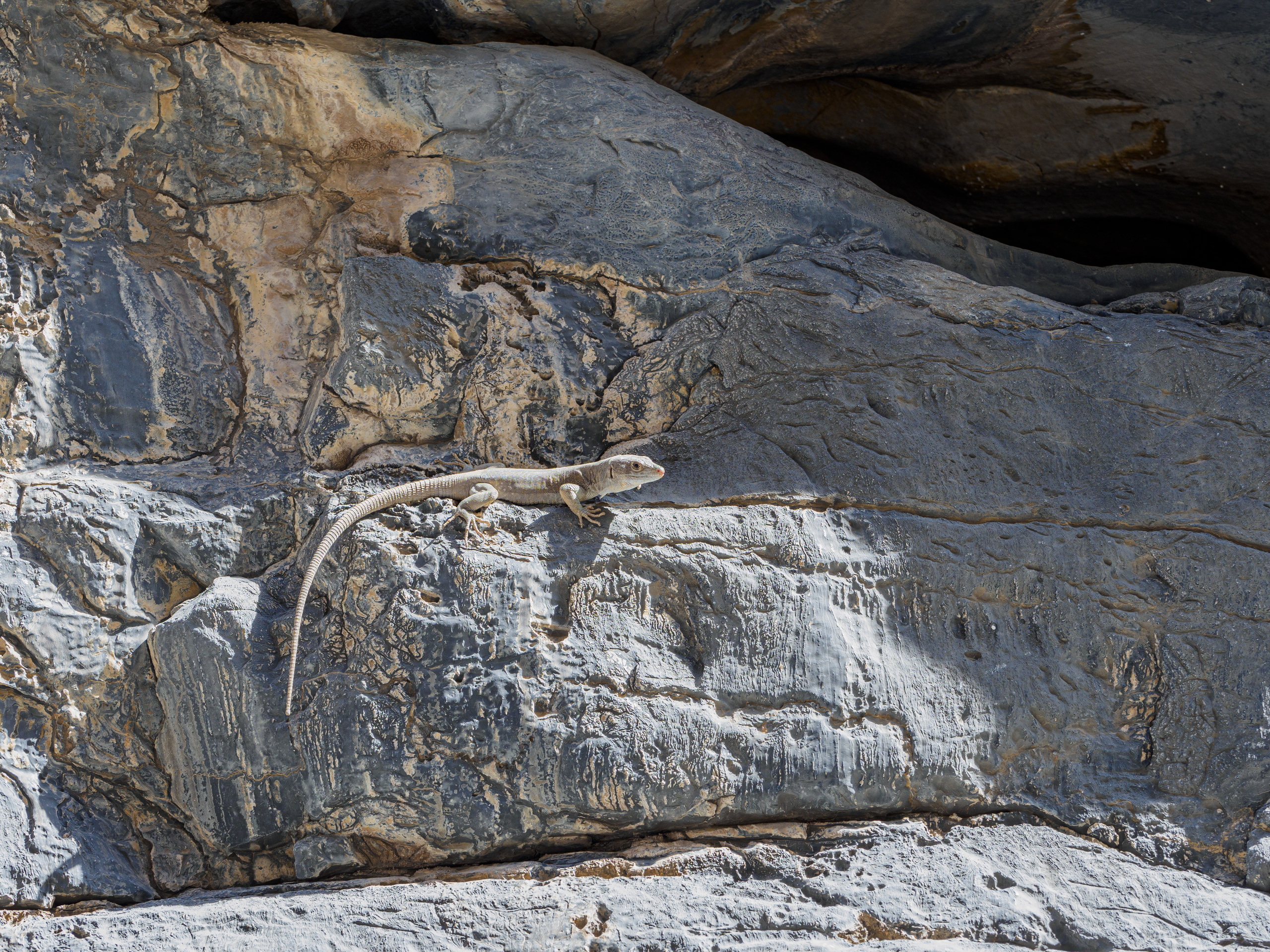 Оман. Творческие сьемки