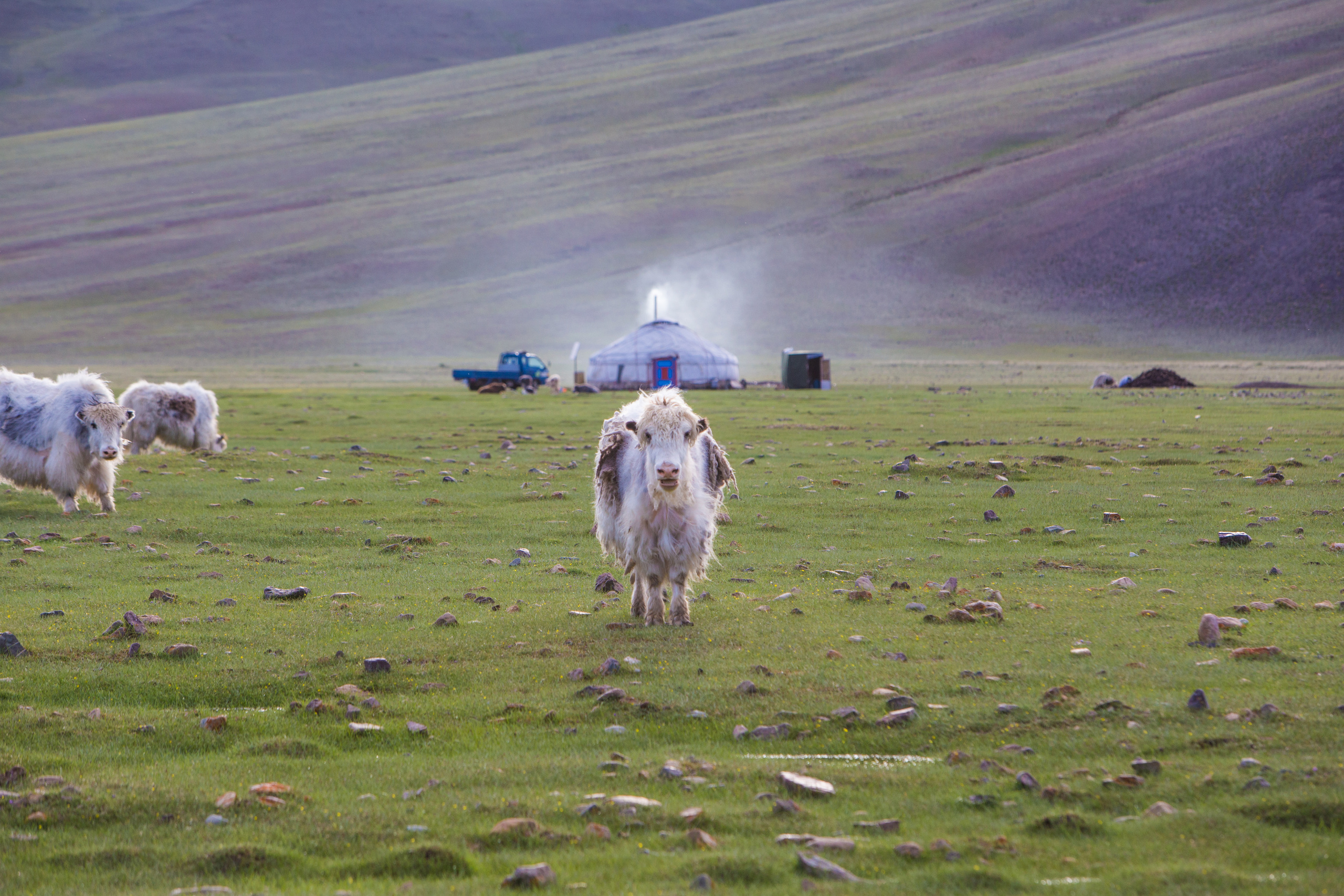 Монголия. Творческие сьемки
