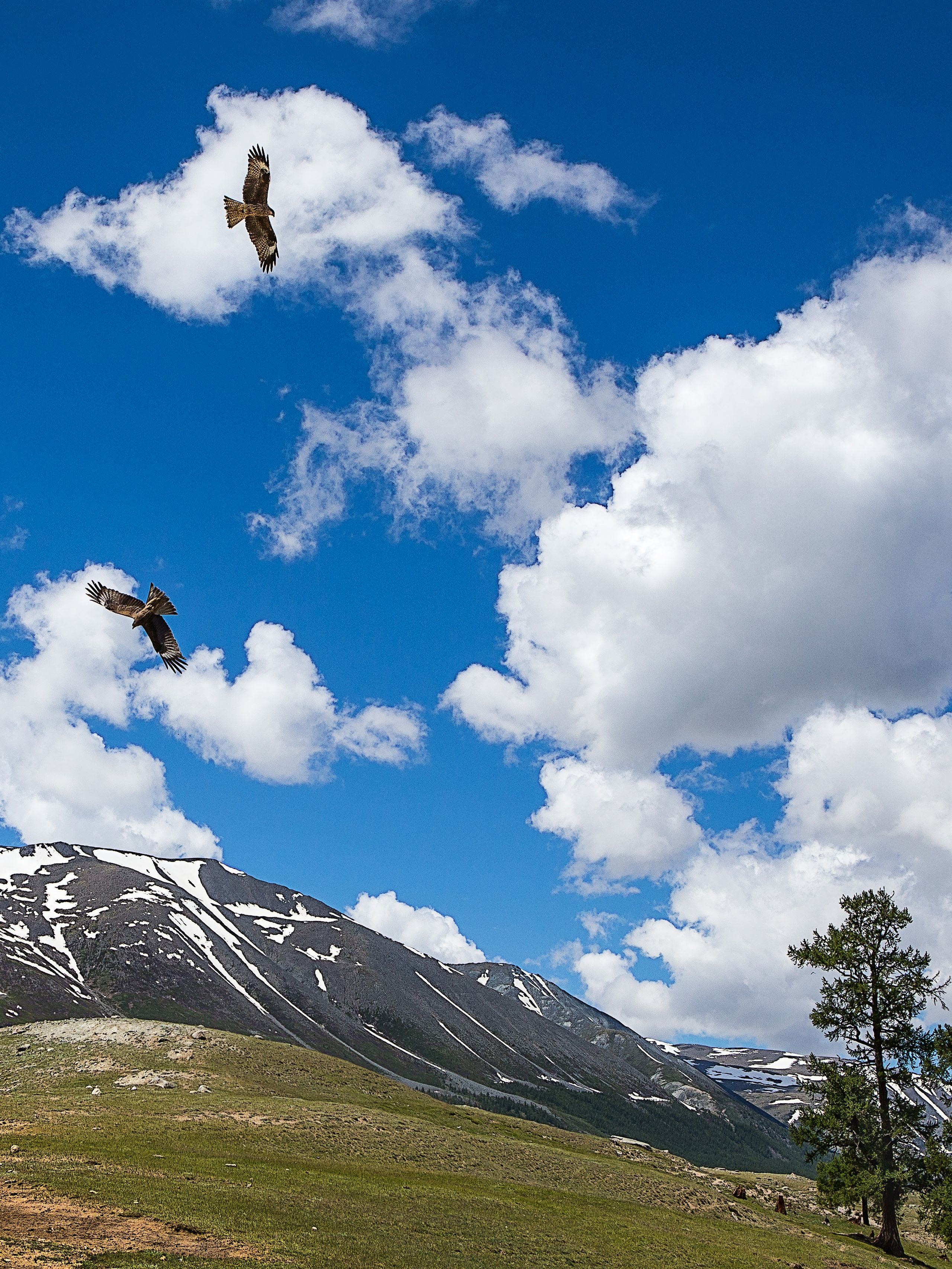 Монголия. Творческие сьемки