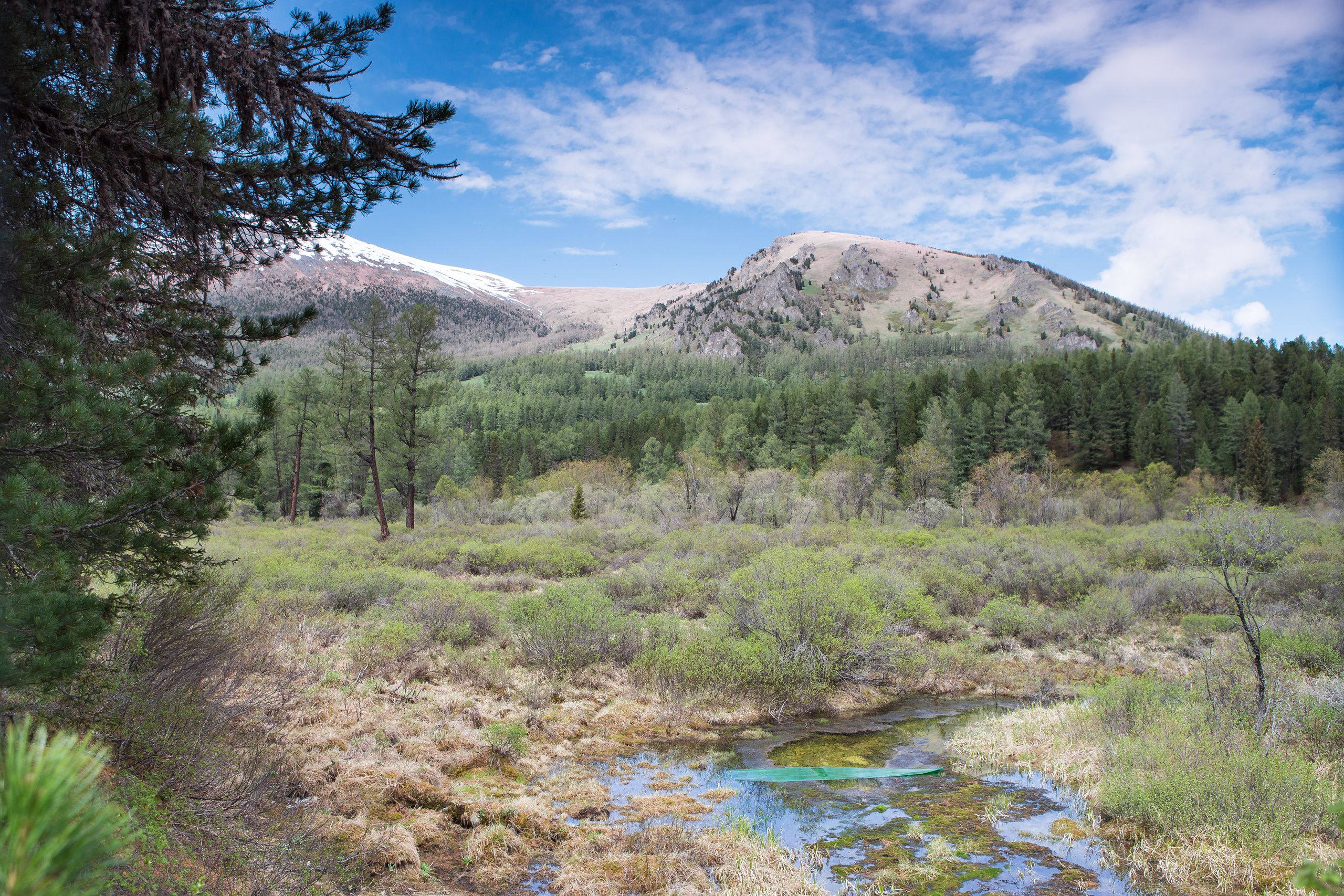 Алтай. Творческие сьемки
