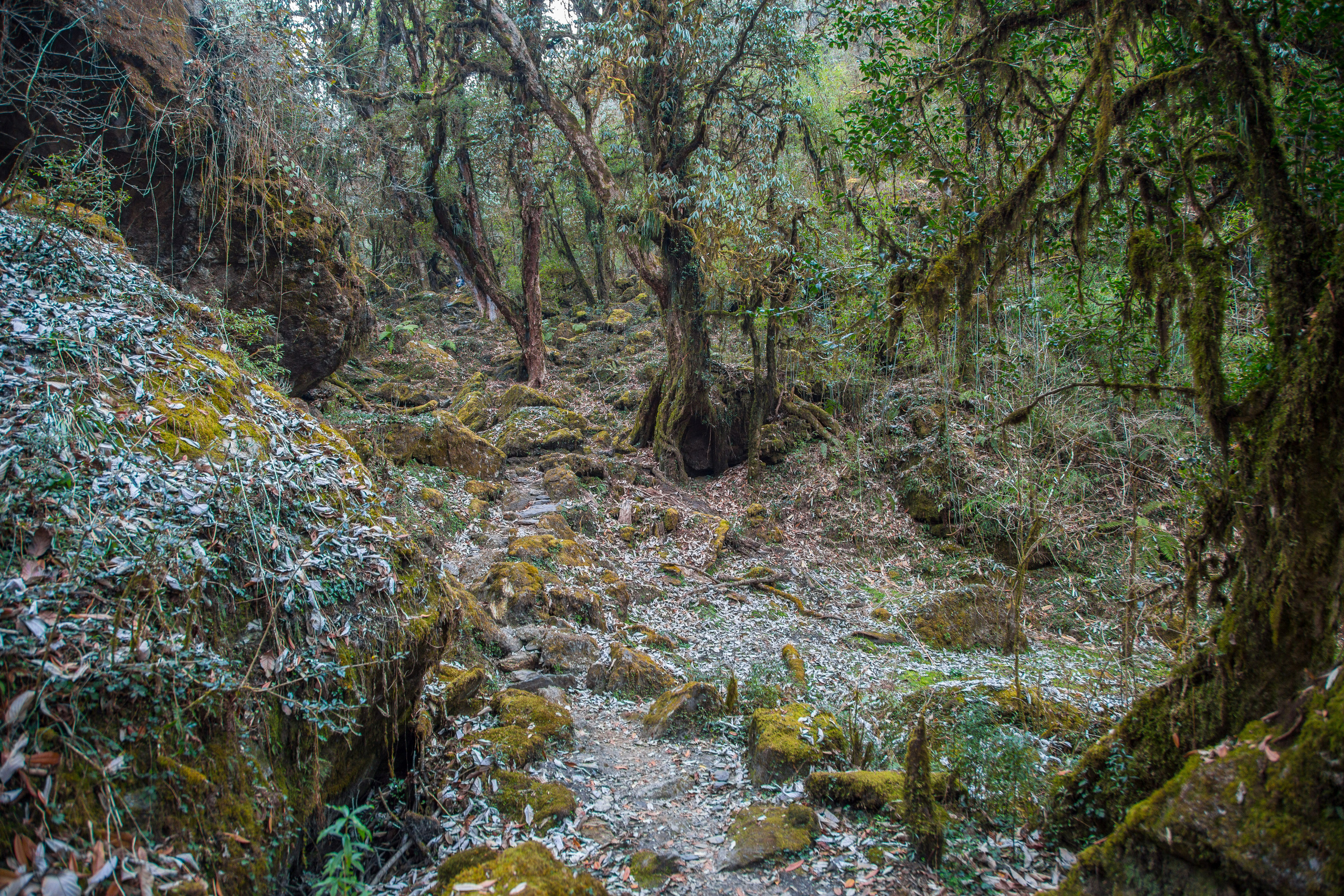 Непал. Творческие сьемки