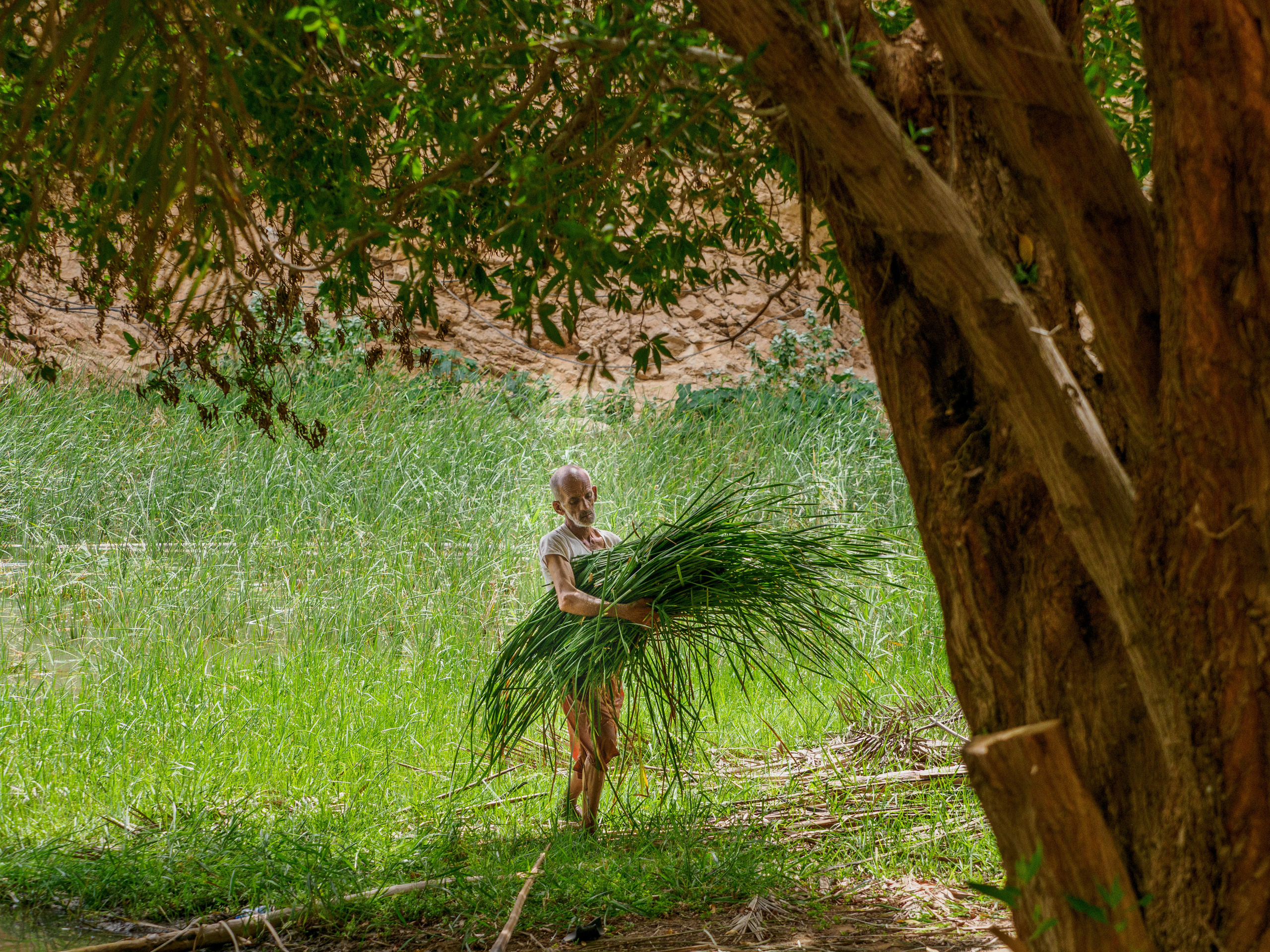 Оман. Творческие сьемки