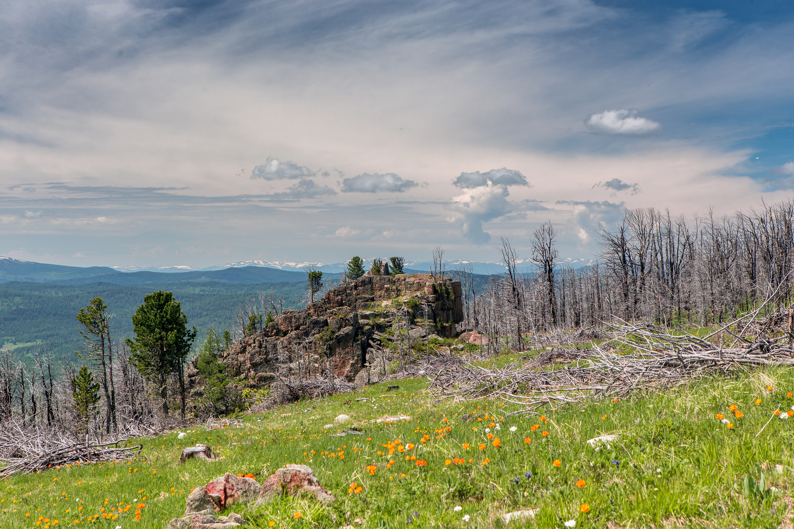 Алтай. Творческие сьемки