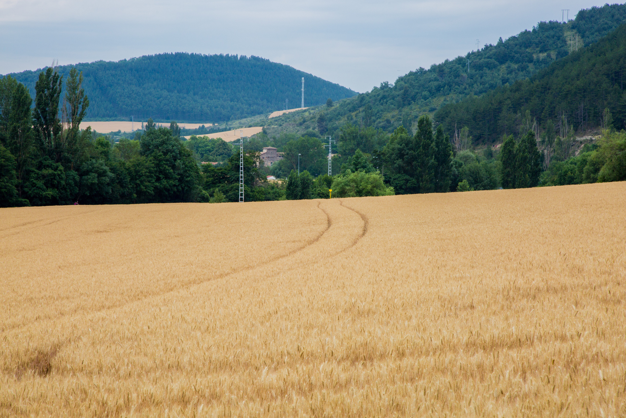 Испания, 2017, Путь Сантьяго из Сен-Жан-Пье-де-По. Творческие сьемки