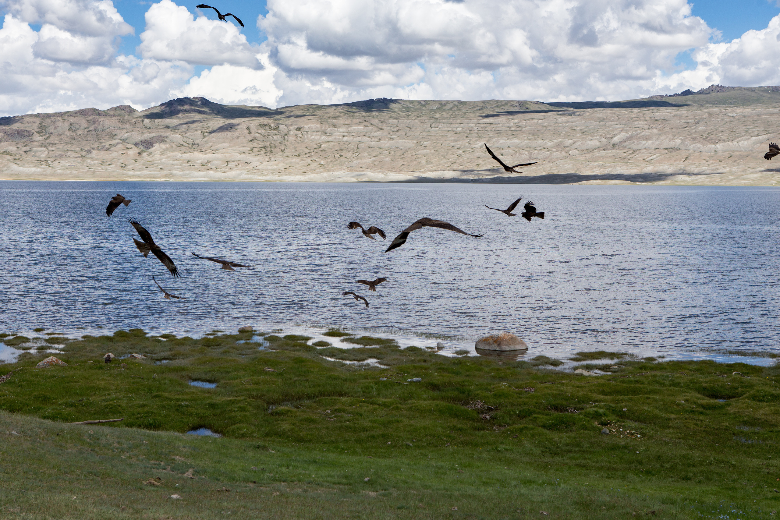 Монголия. Творческие сьемки