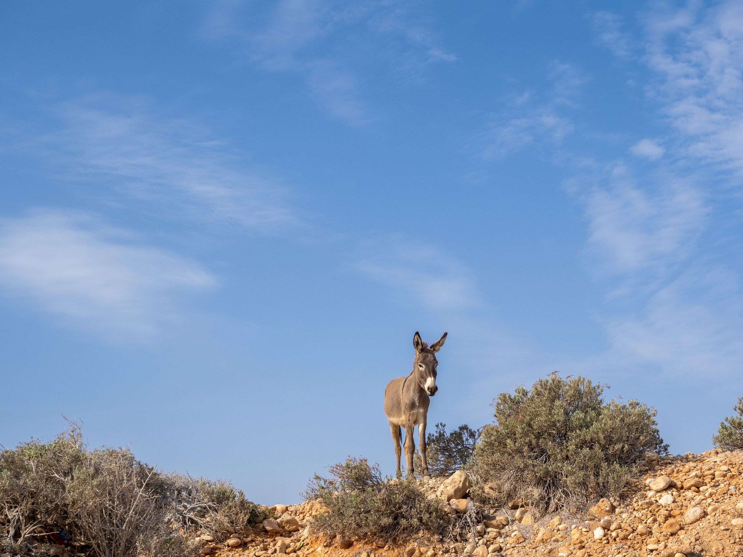 Оман. Творческие сьемки