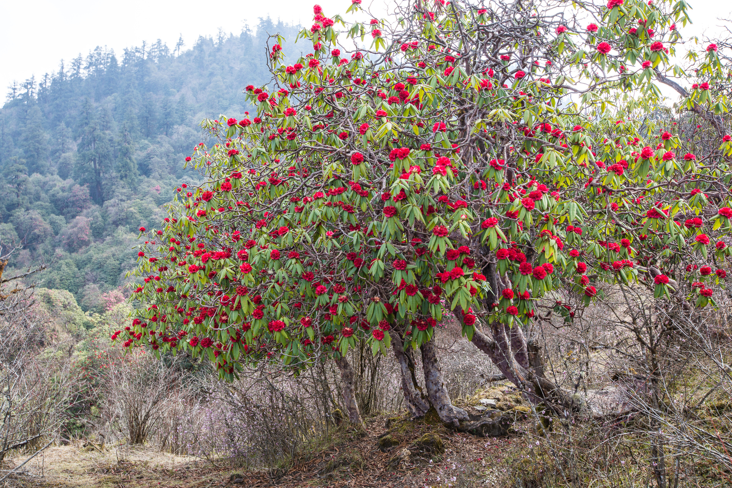 Непал. Творческие сьемки