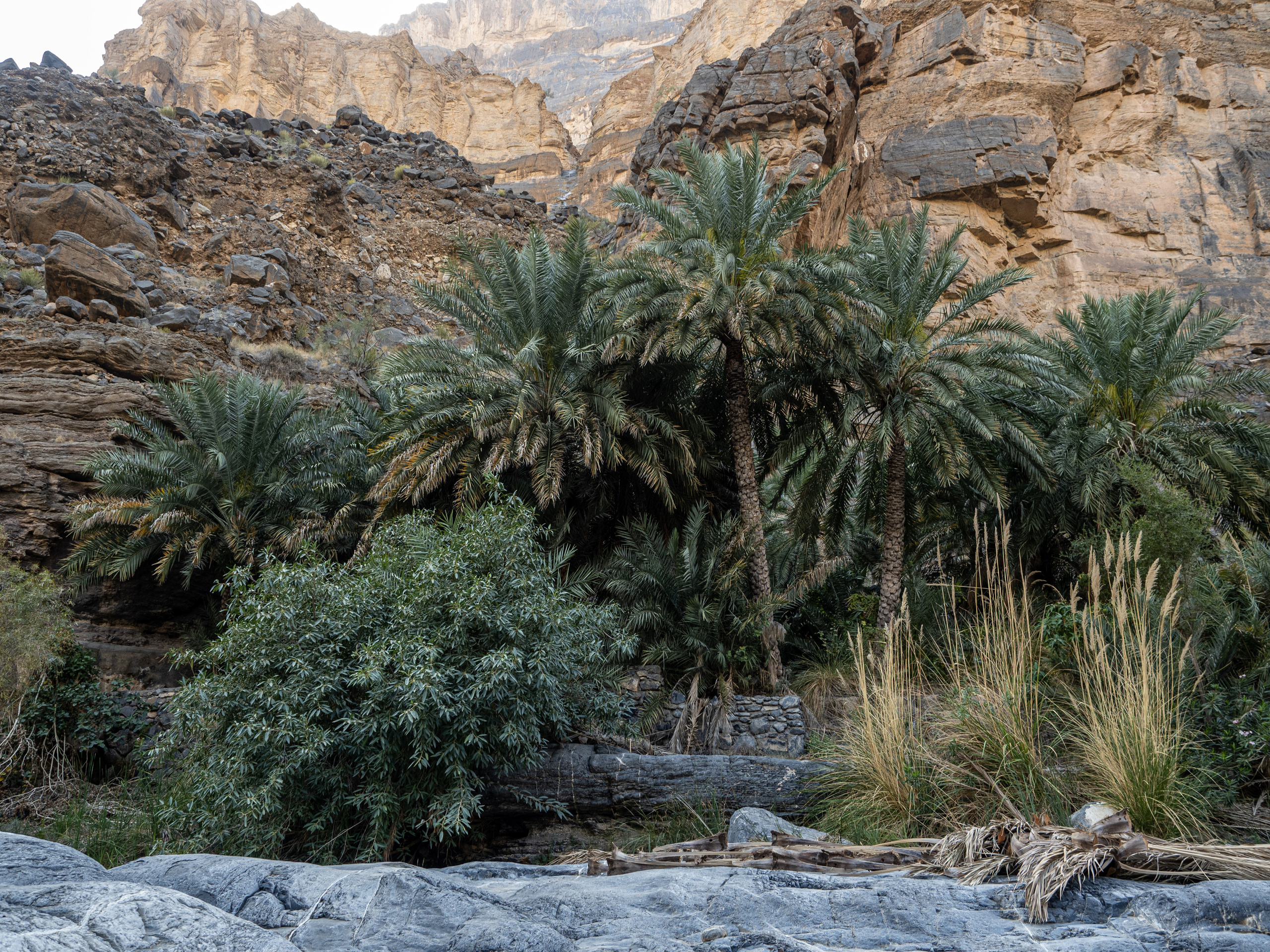 Оман. Творческие сьемки