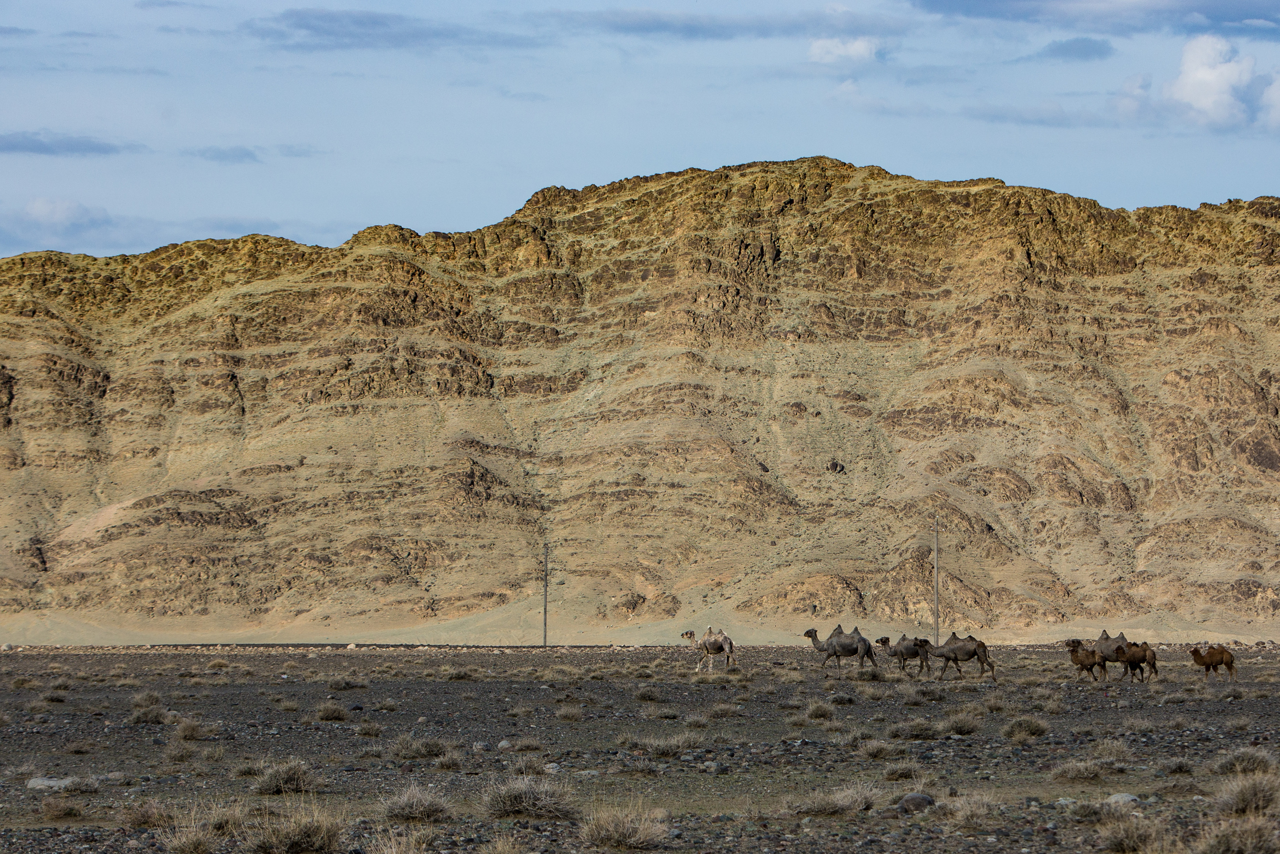 Монголия. Творческие сьемки