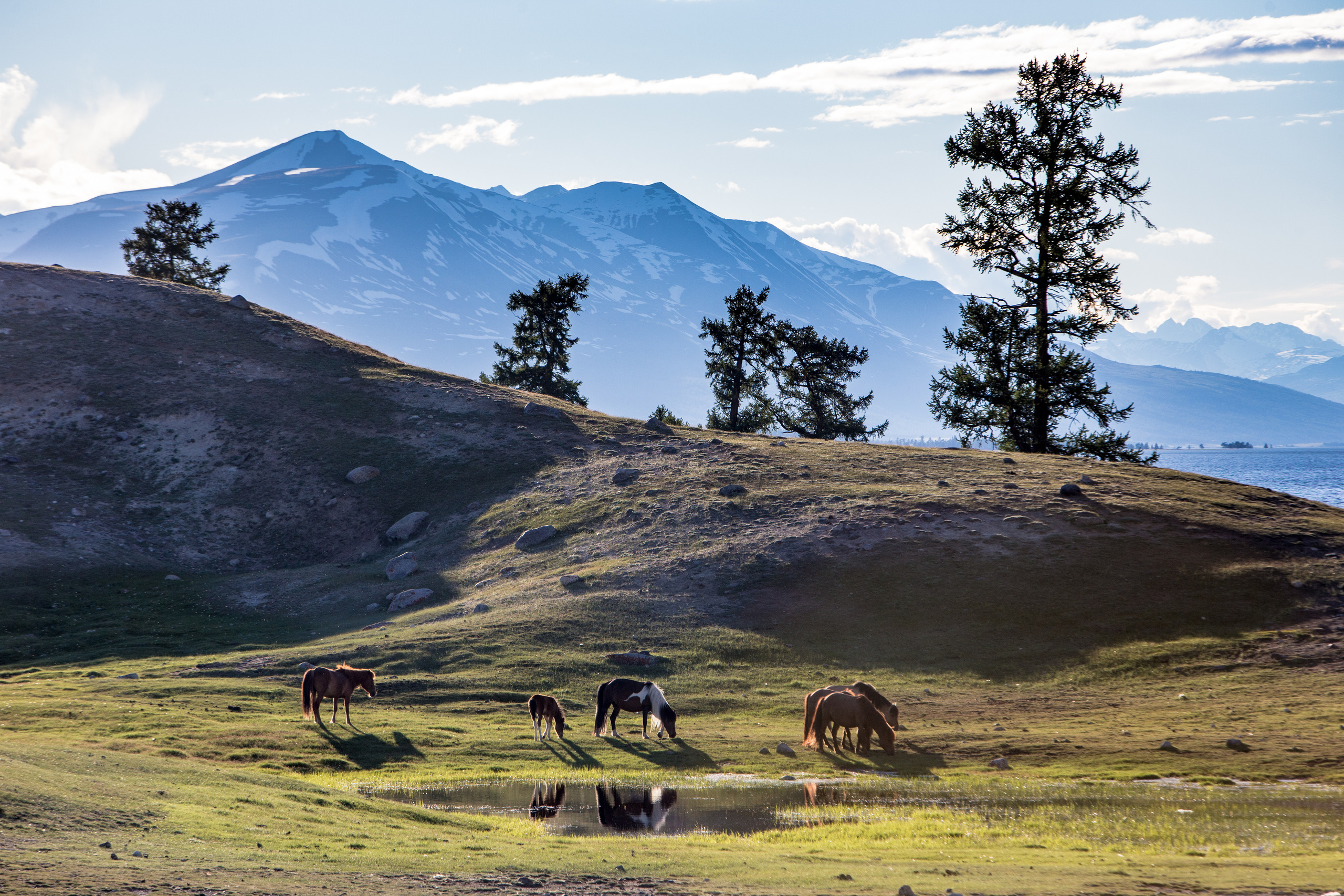 Монголия. Творческие сьемки