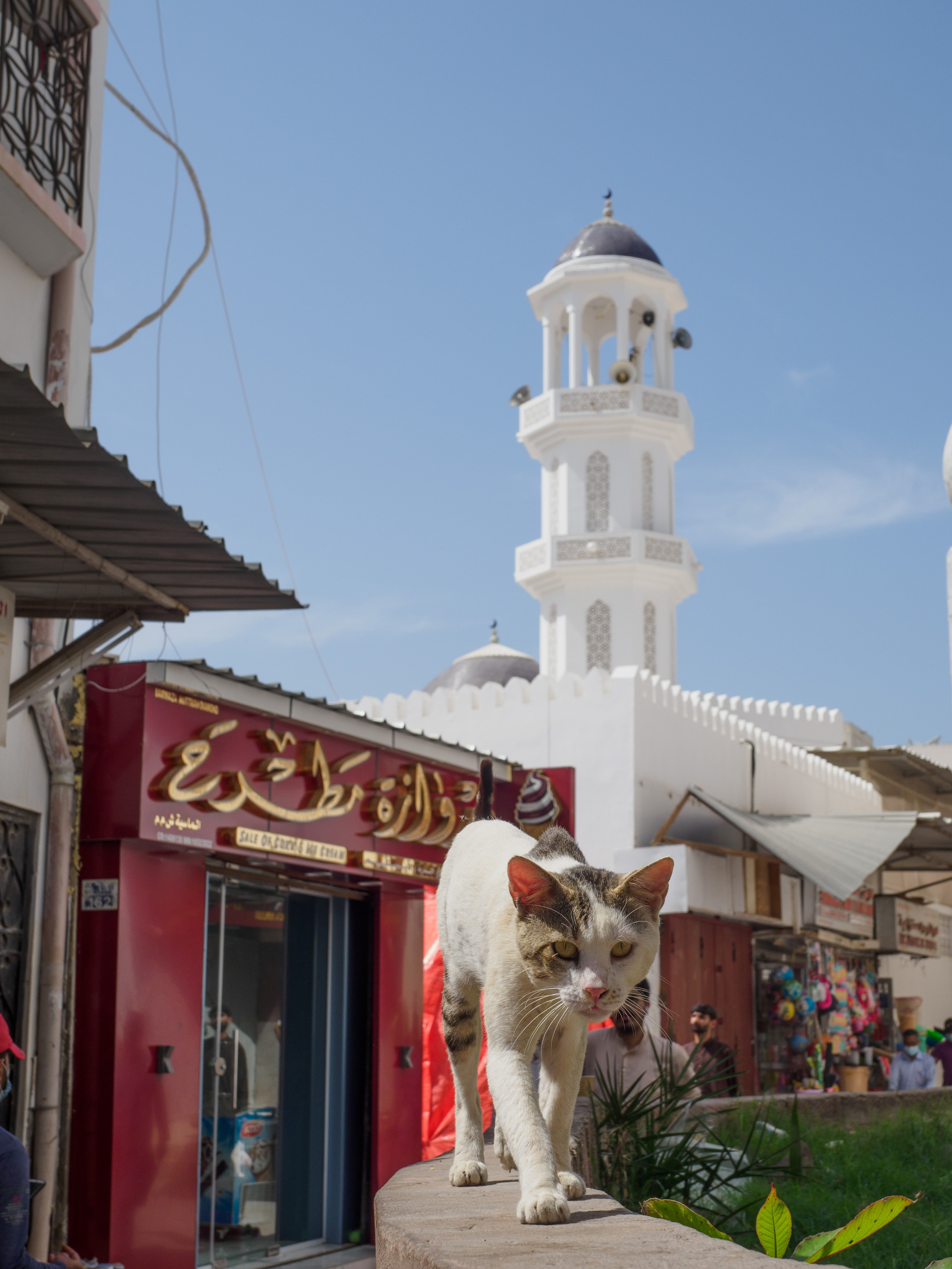 Оман. Творческие сьемки