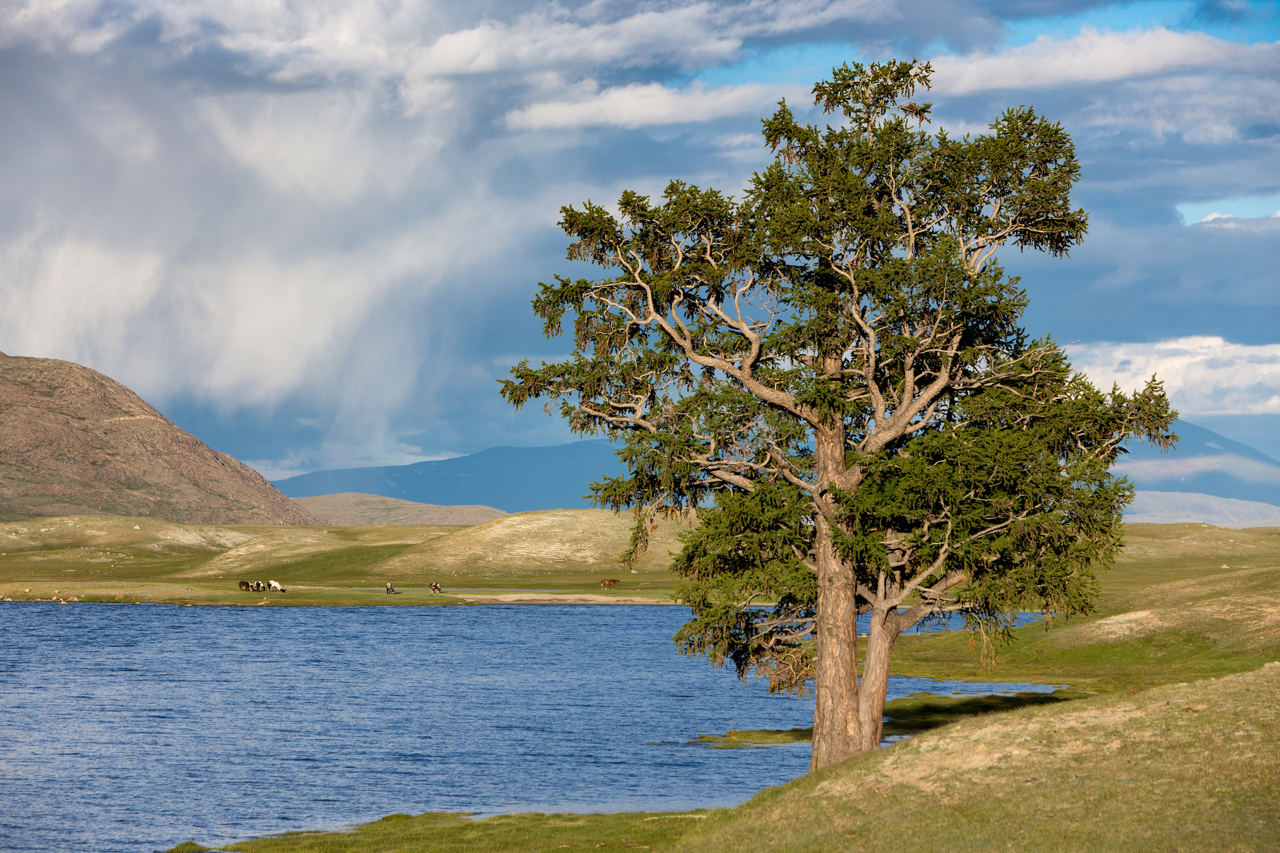 Монголия. Творческие сьемки