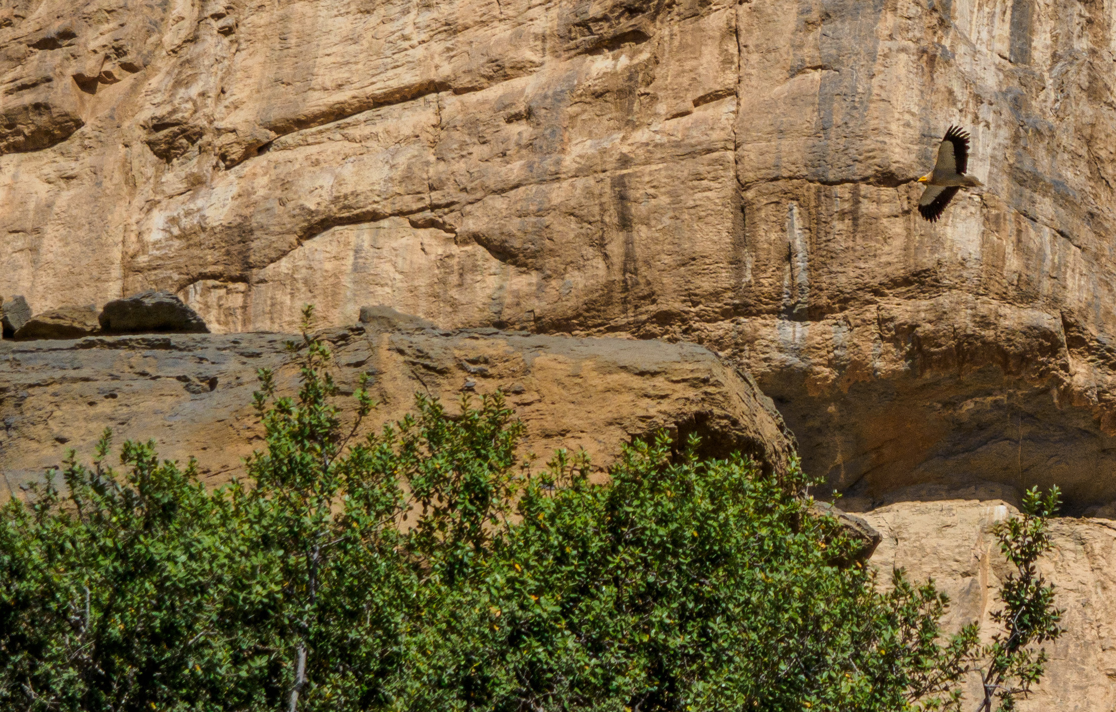 Оман. Творческие сьемки