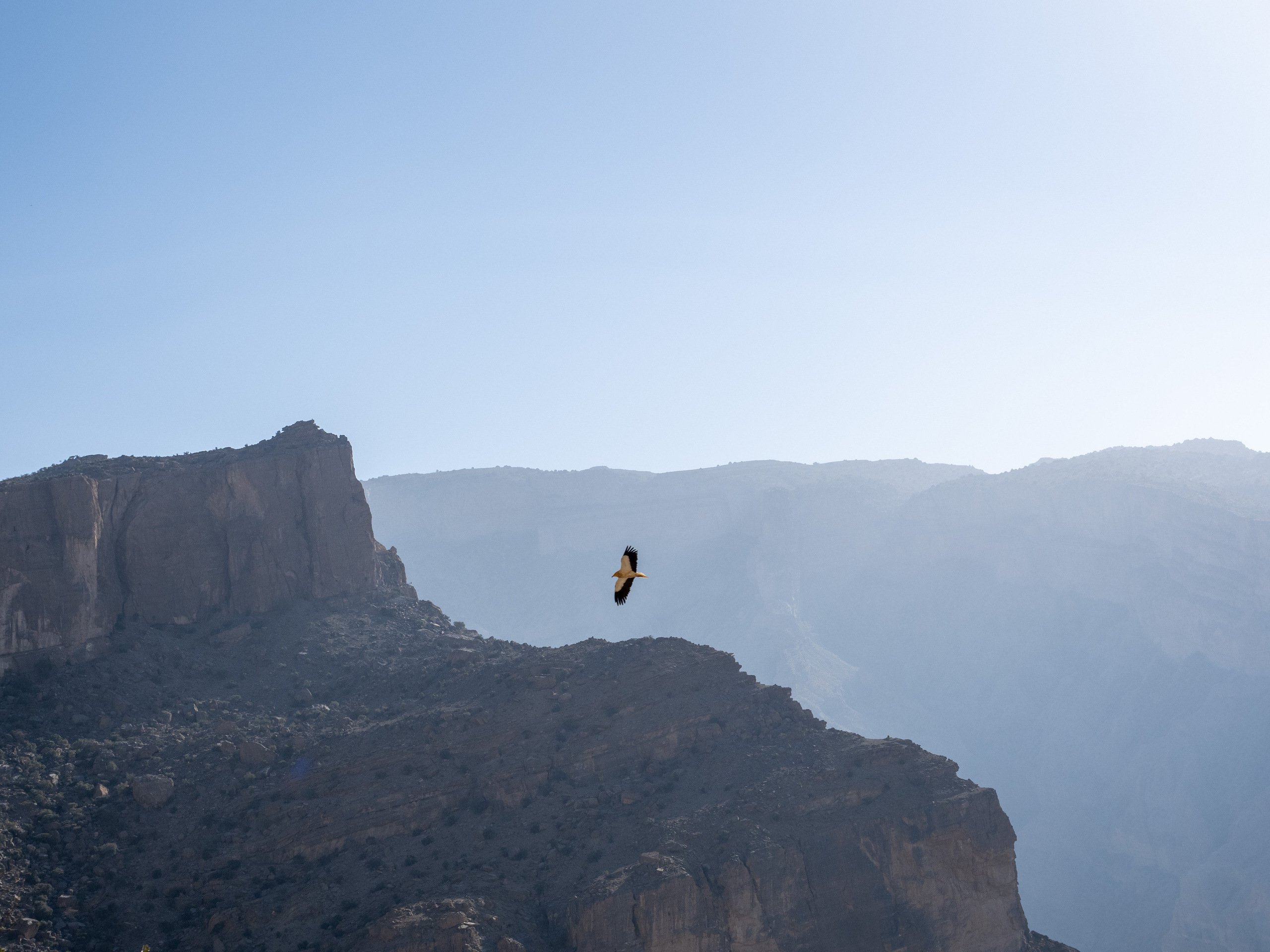 Оман. Творческие сьемки