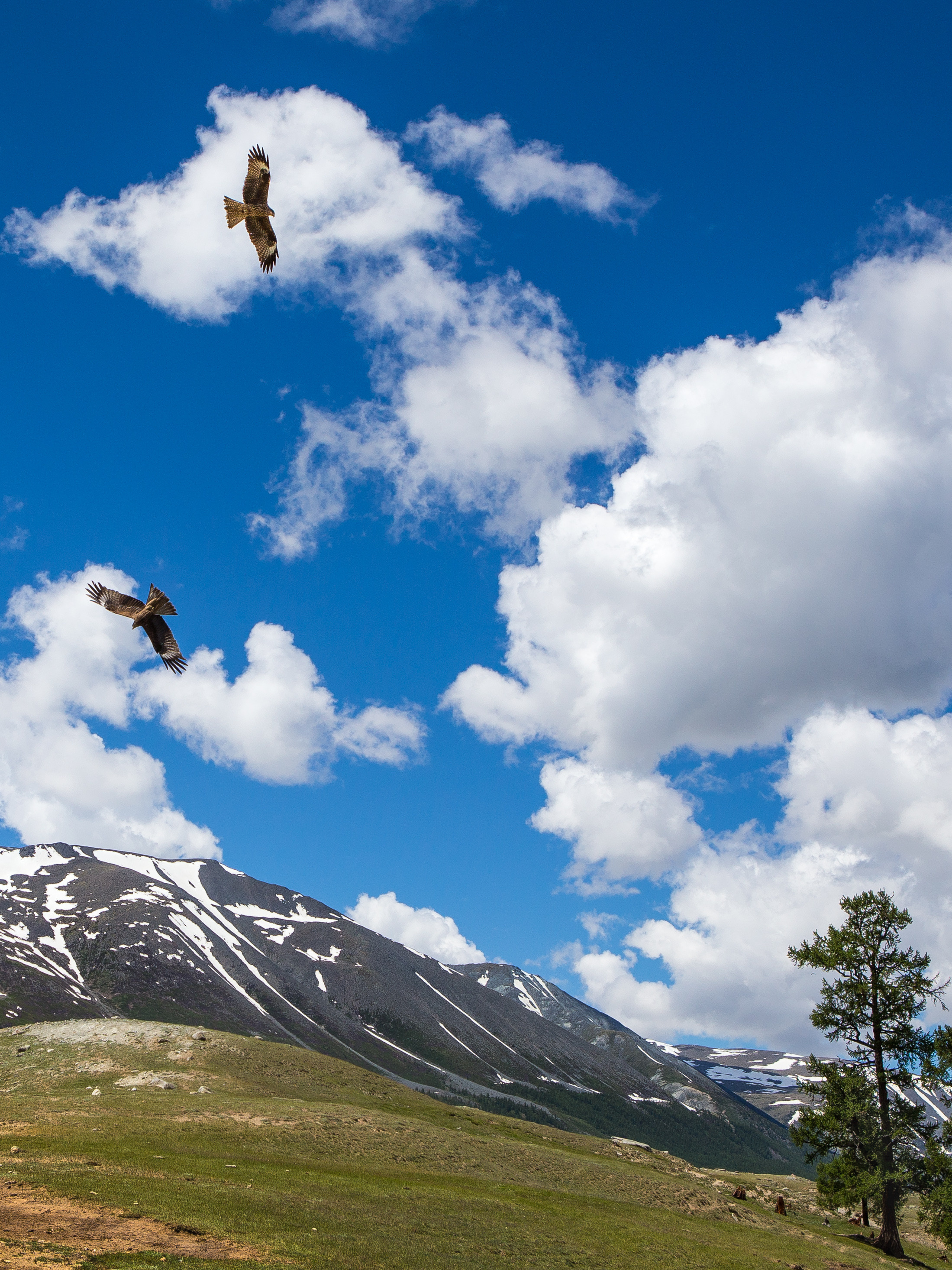 Монголия. Творческие сьемки